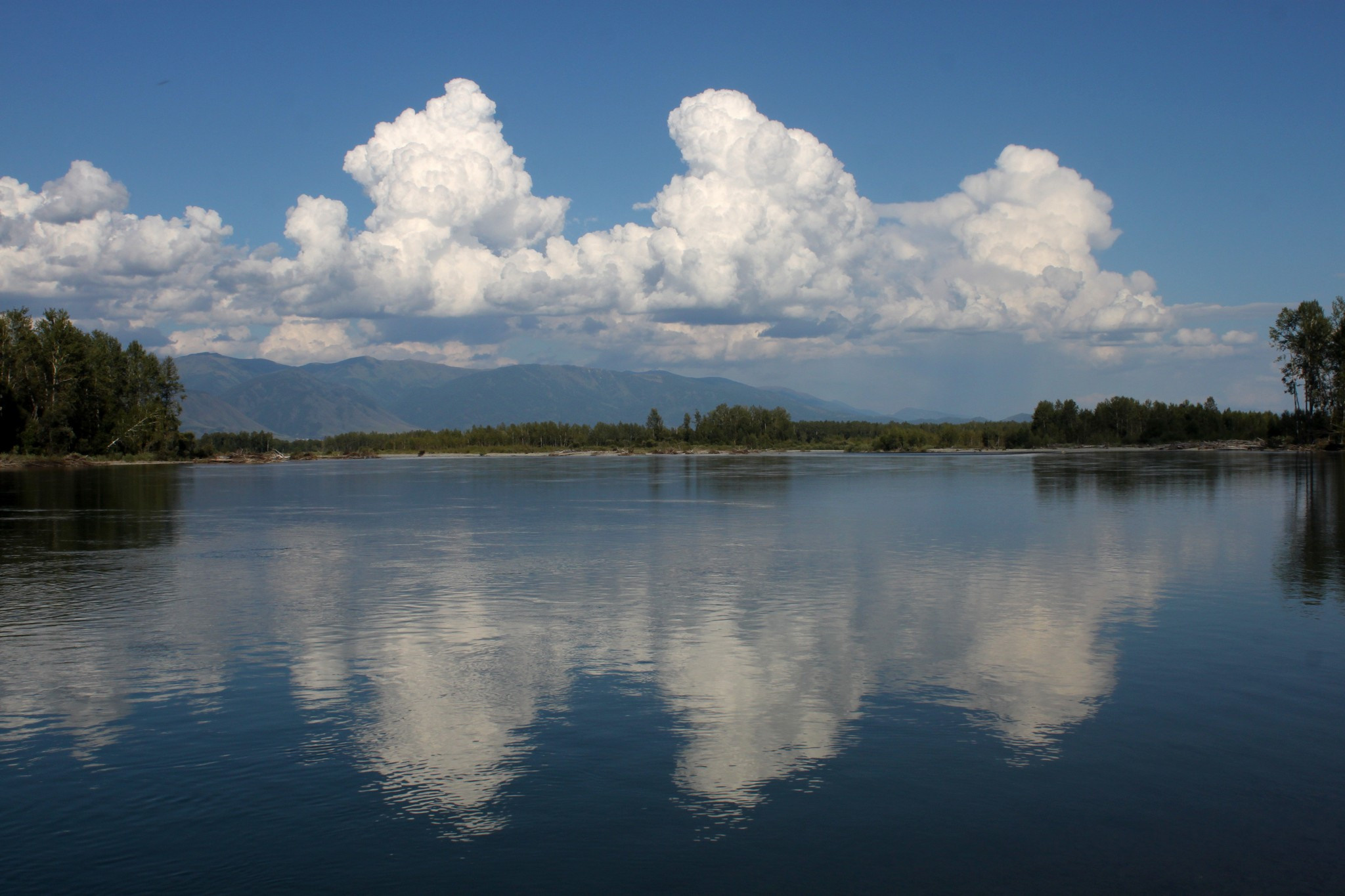 Катунь в районе с. Верхний Уймон