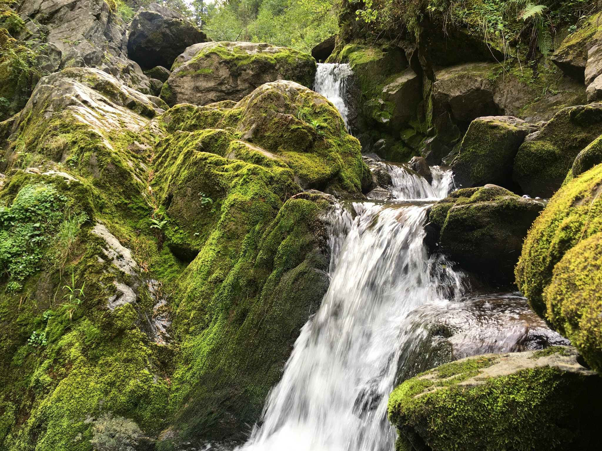 Золотое кольцо Алтая 2021 (iPhone7). Фотограф Эдуард Алмадаков