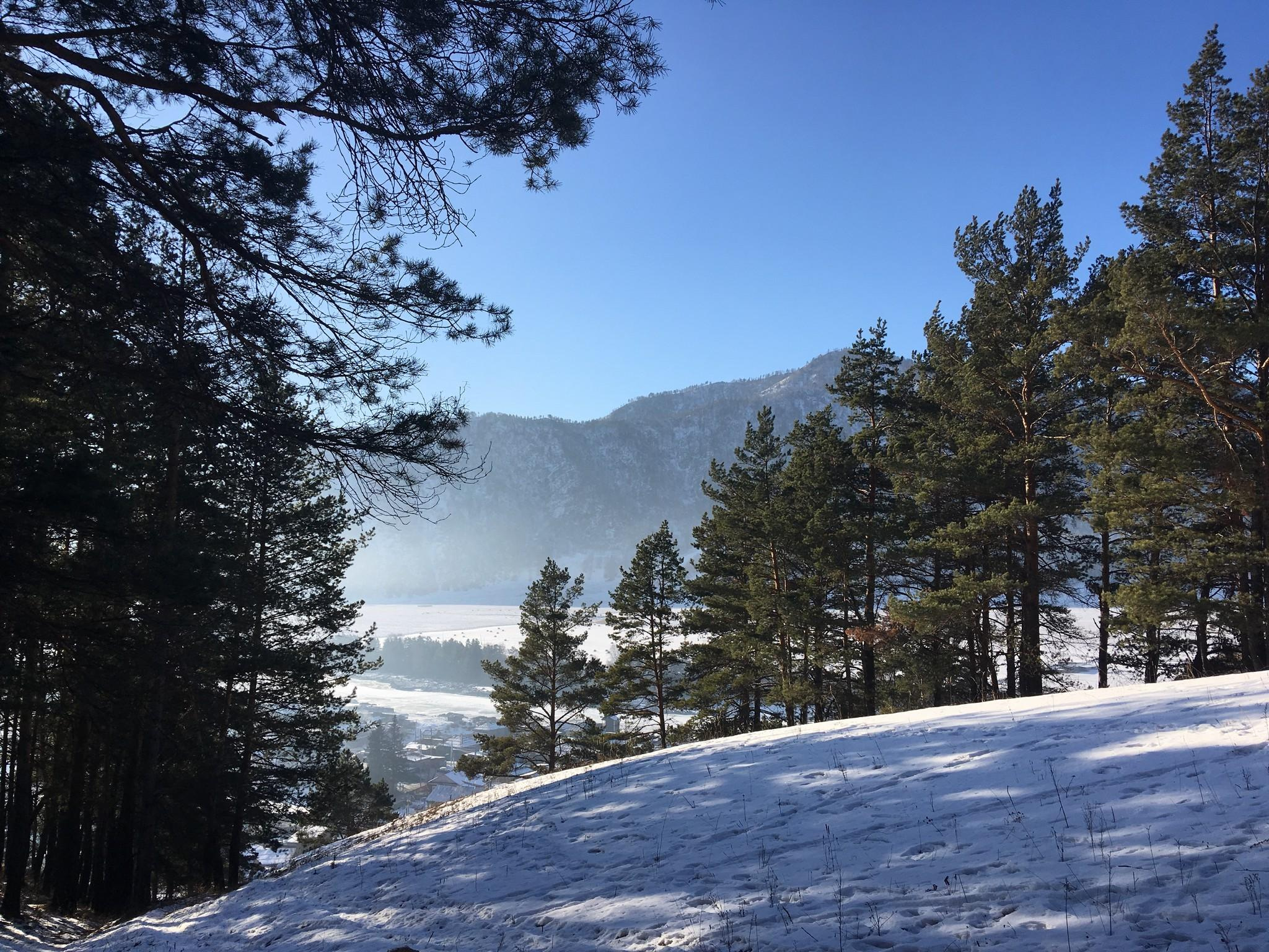 Зимний Чемал. Фотограф Эдуард Алмадаков
