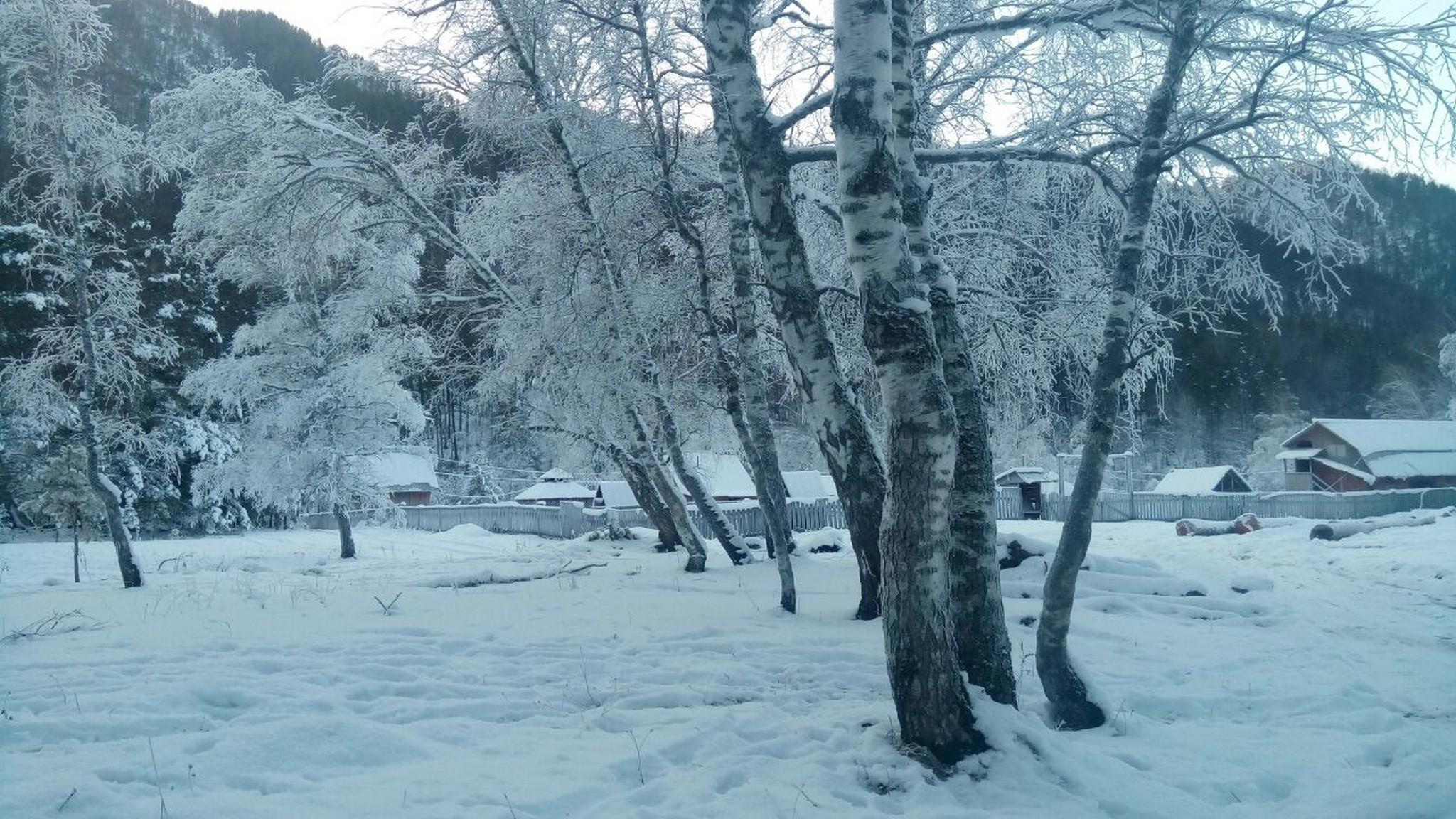 Зимний Чемал. Фотограф Эдуард Алмадаков