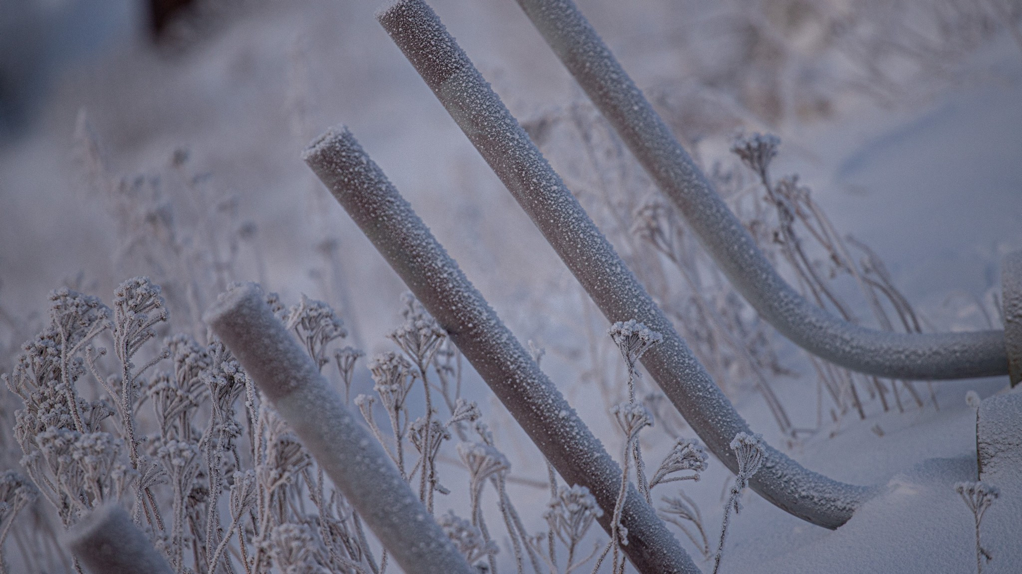 Дудинка -45 С. Фотограф Эдуард Алмадаков