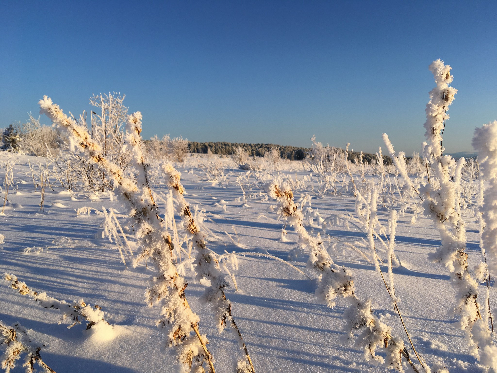 Семинский перевал зимним вечером