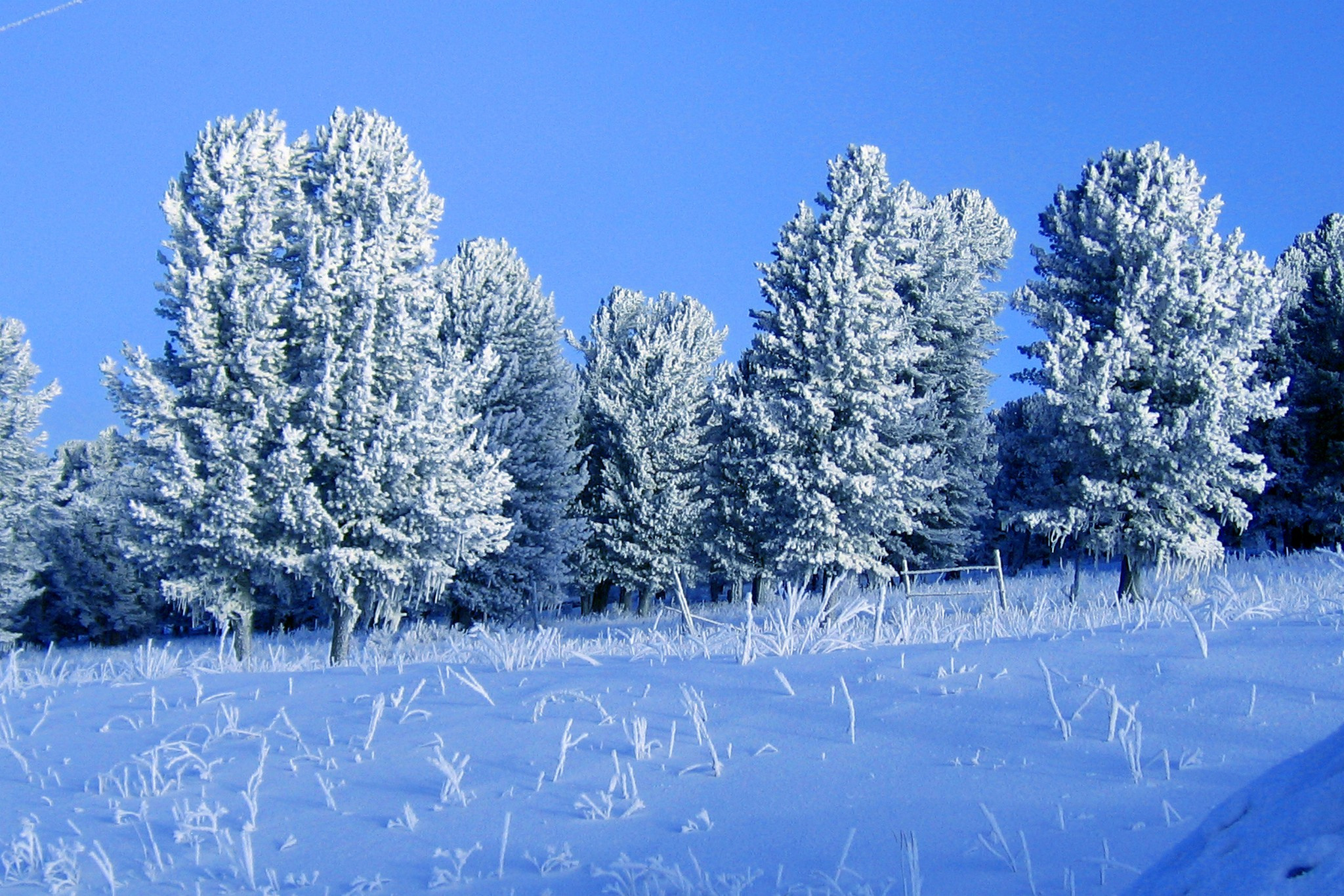 С. Курота. Фотограф Эдуард Алмадаков