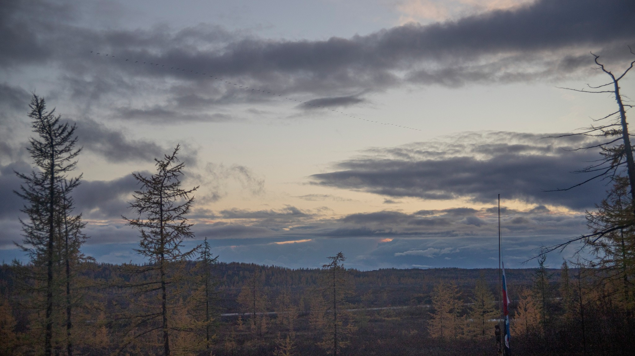 сумерки над тундрой в районе р. Сухой лог. Таймырский Долгано-Ненецкий район