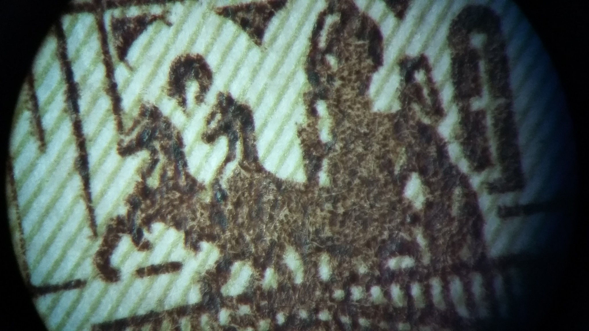 Макро. Фотограф Эдуард Алмадаков