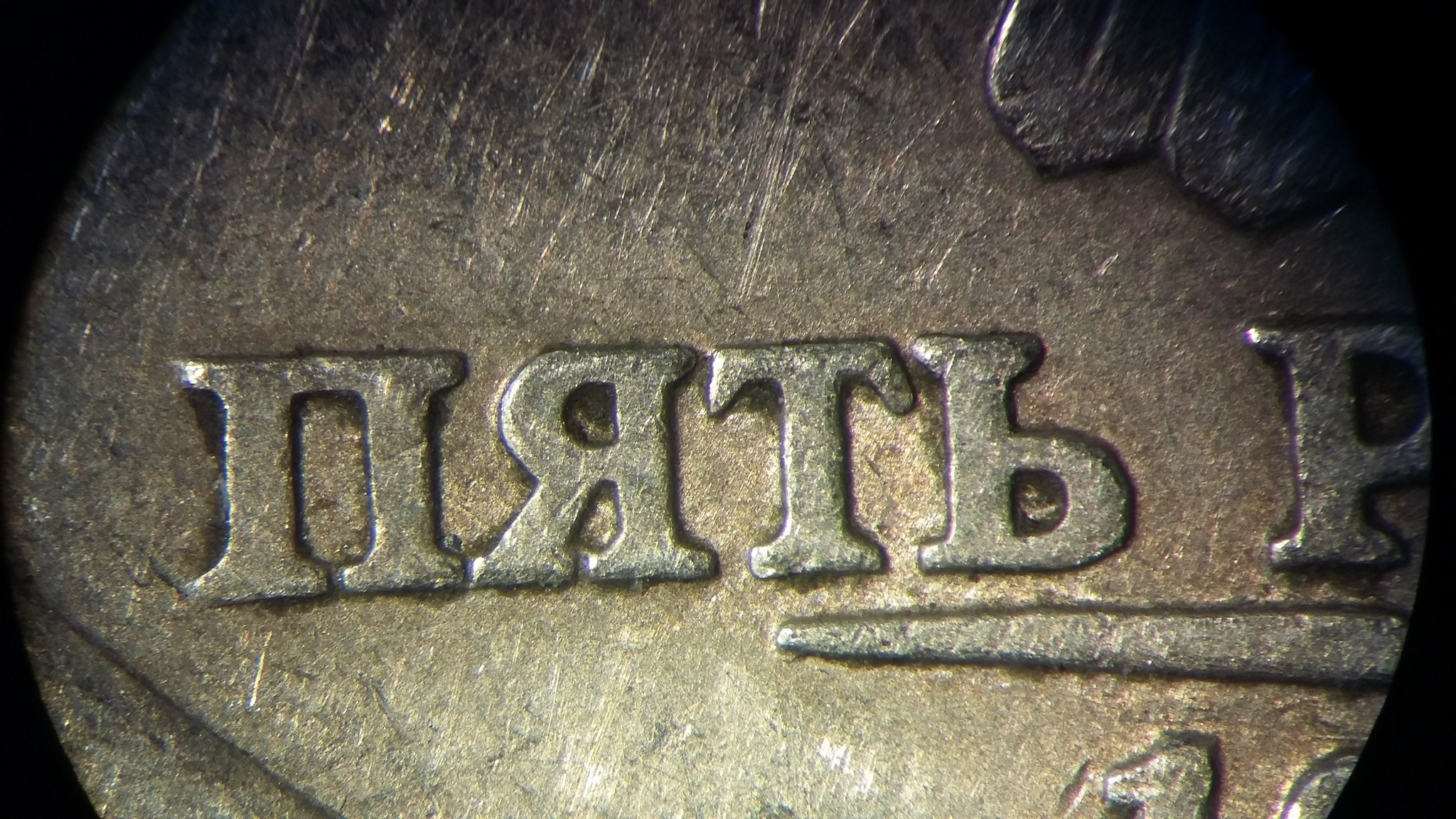 Макро. Фотограф Эдуард Алмадаков