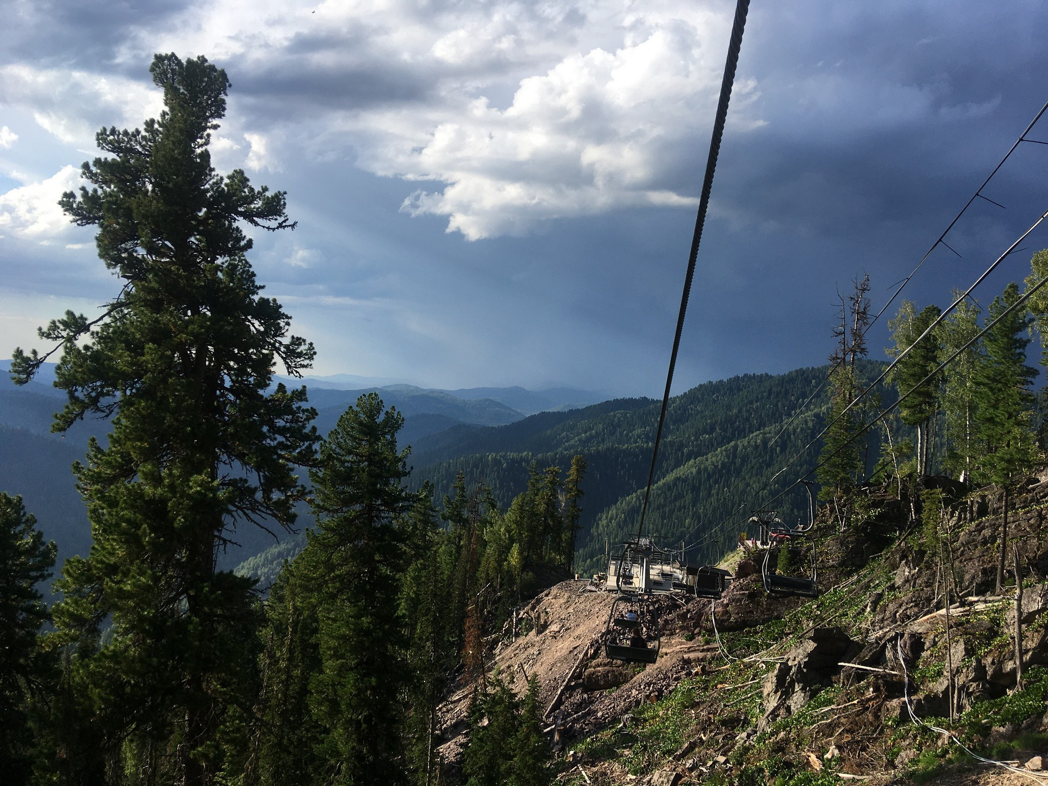 Золотое кольцо Алтая 2021 (iPhone7). Фотограф Эдуард Алмадаков