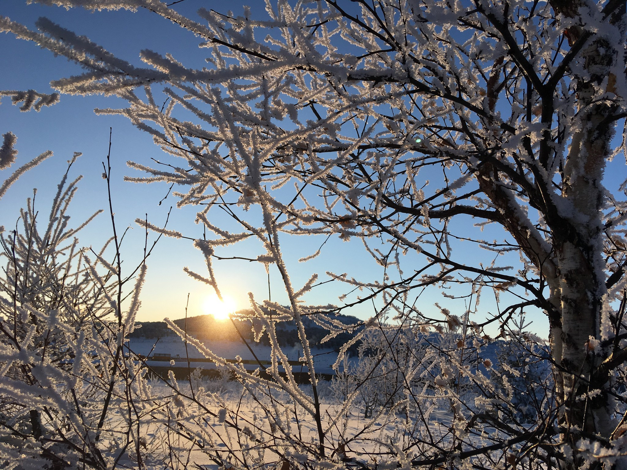 Семинский перевал. Фотограф Эдуард Алмадаков