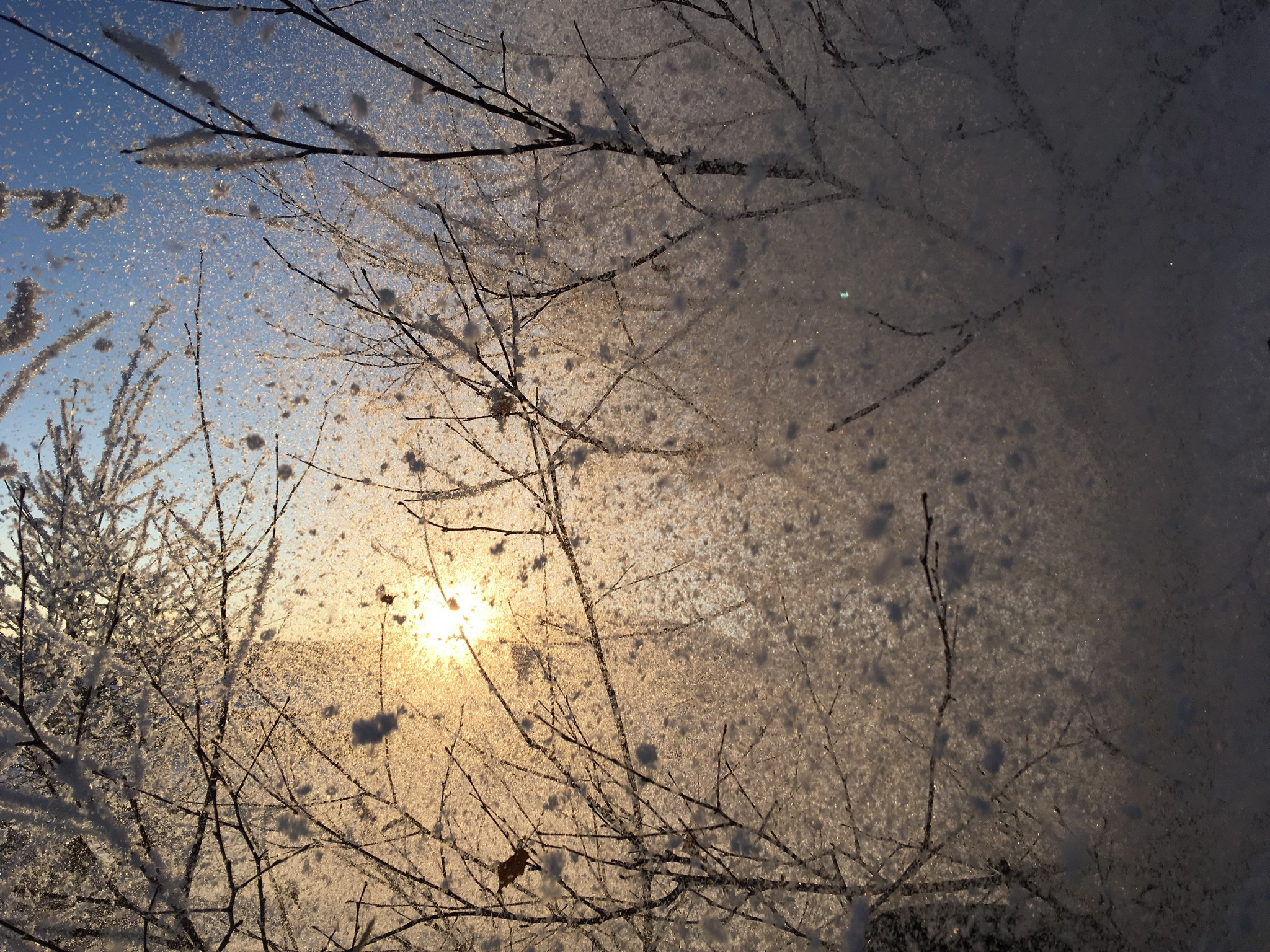 Семинский перевал. Фотограф Эдуард Алмадаков