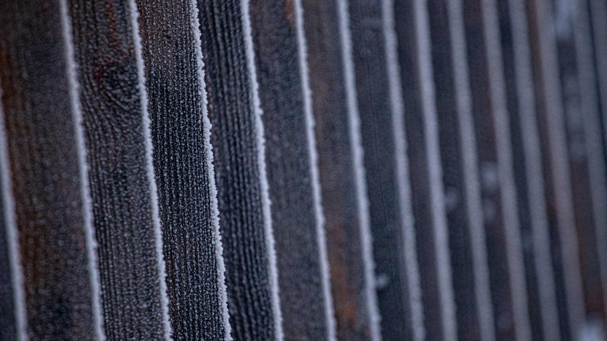 Дудинка -45 С. Фотограф Эдуард Алмадаков