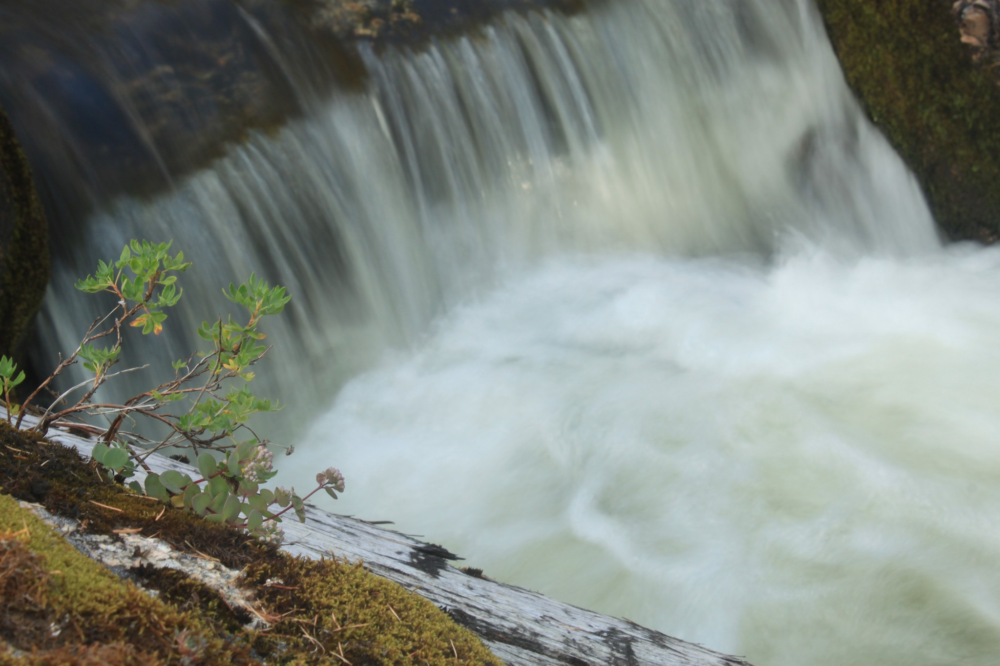 Саратанский водопад. Фотограф Эдуард Алмадаков