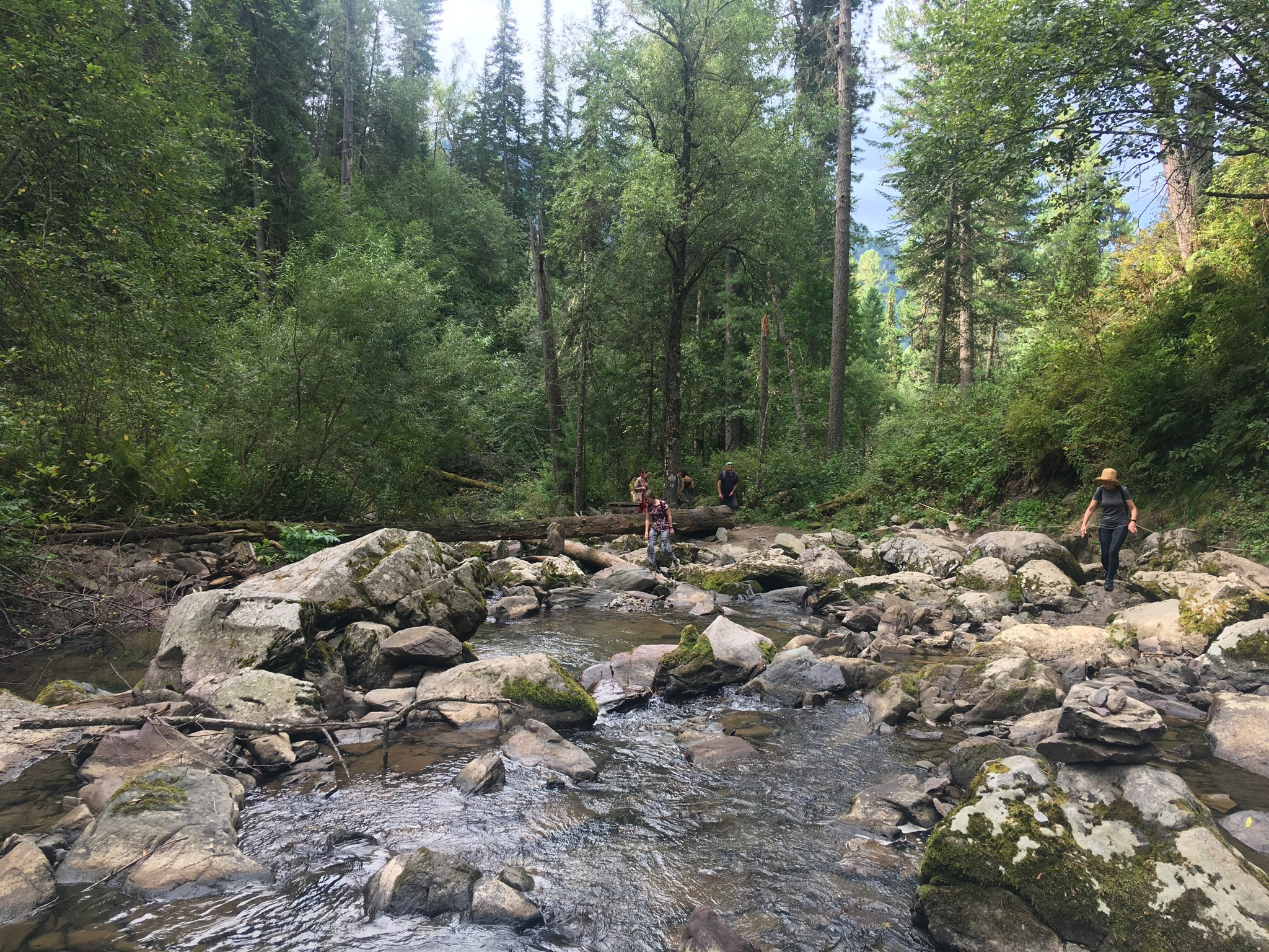 Золотое кольцо Алтая 2021 (iPhone7). Фотограф Эдуард Алмадаков