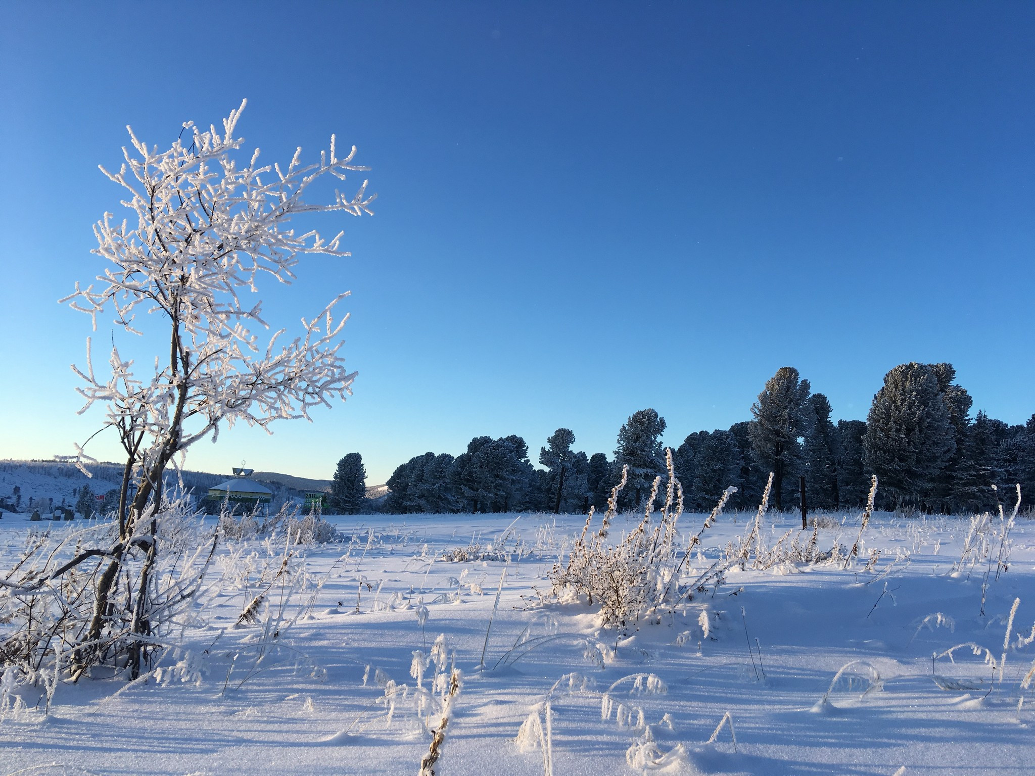 Семинский перевал. Фотограф Эдуард Алмадаков