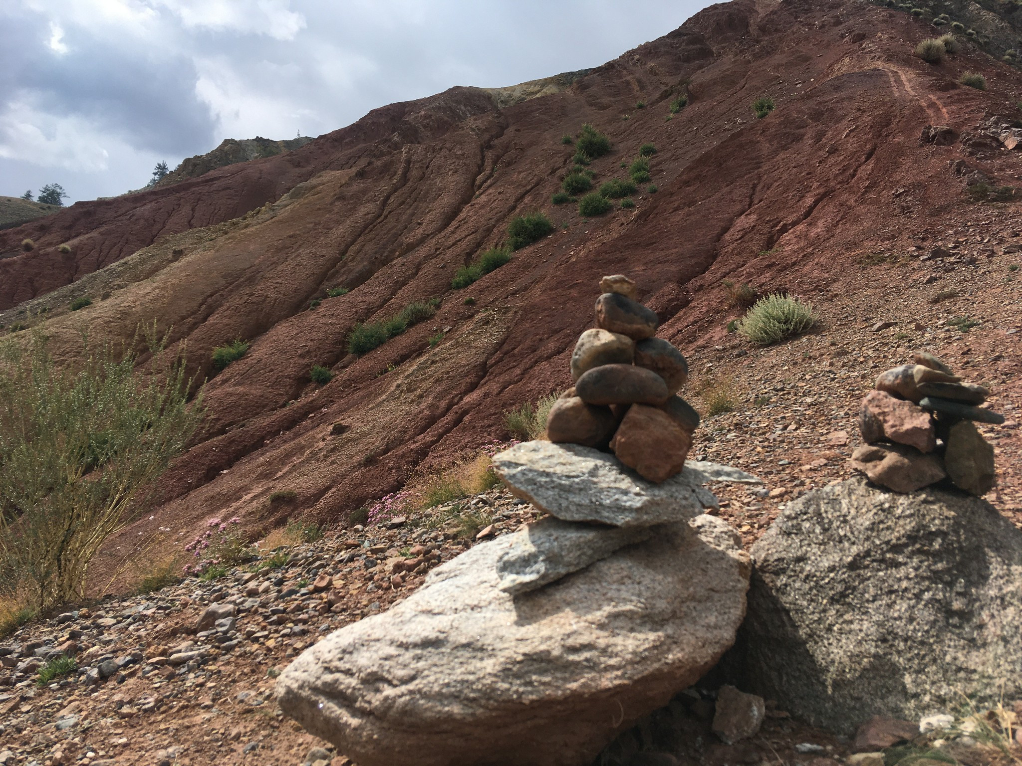 Золотое кольцо Алтая 2021 (iPhone7). Фотограф Эдуард Алмадаков