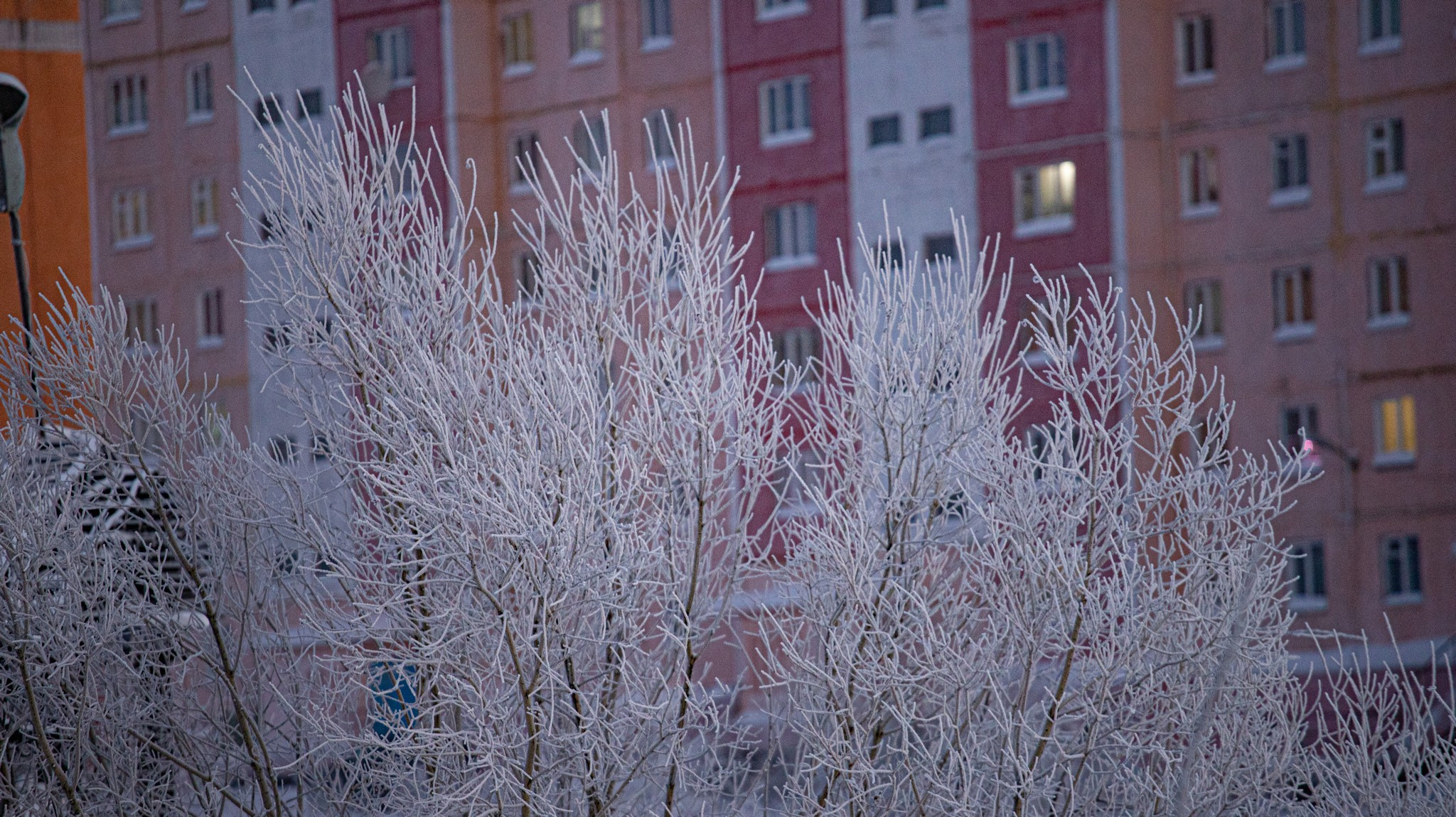 Дудинка -45 С. Фотограф Эдуард Алмадаков