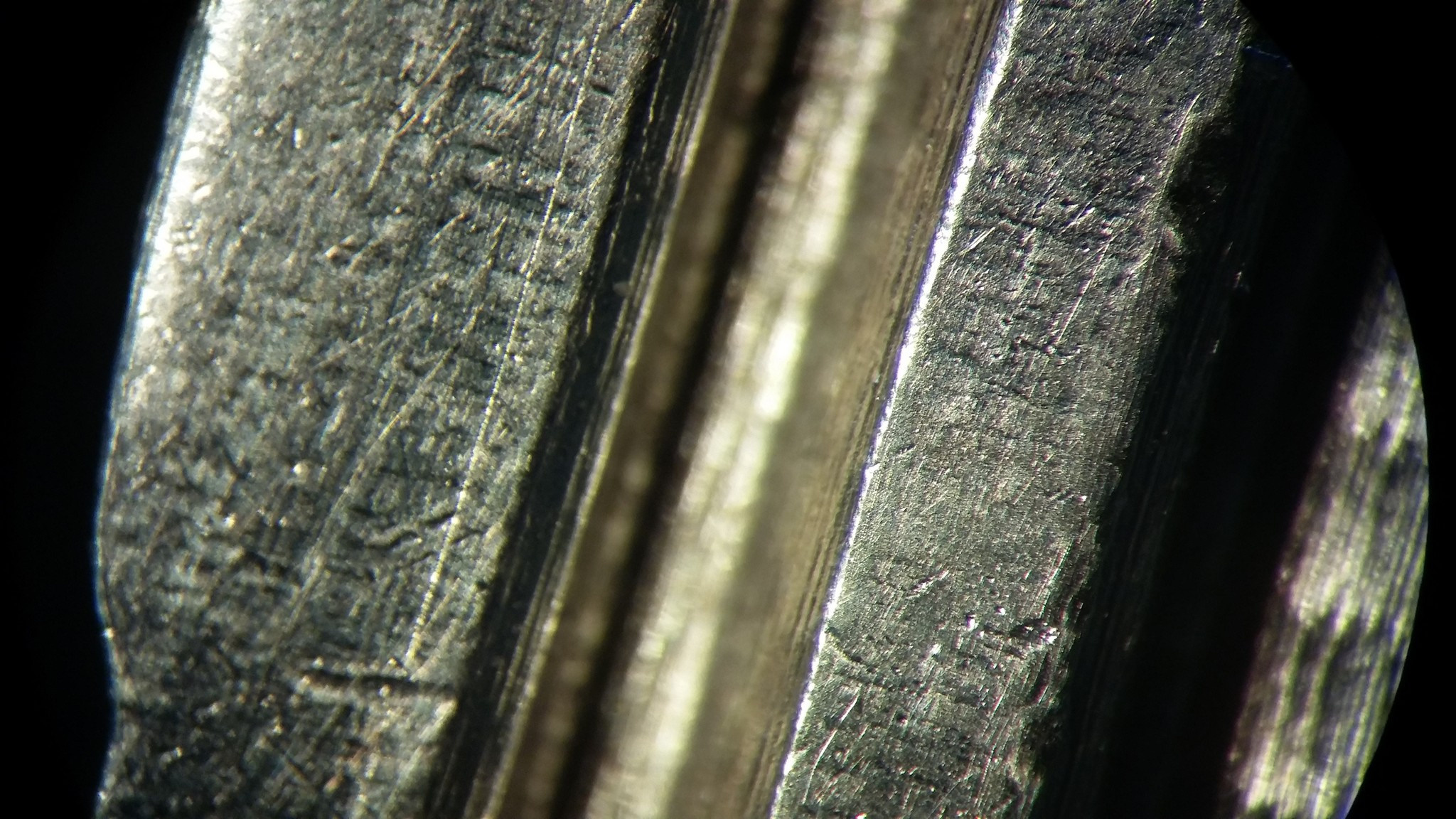 Макро. Фотограф Эдуард Алмадаков