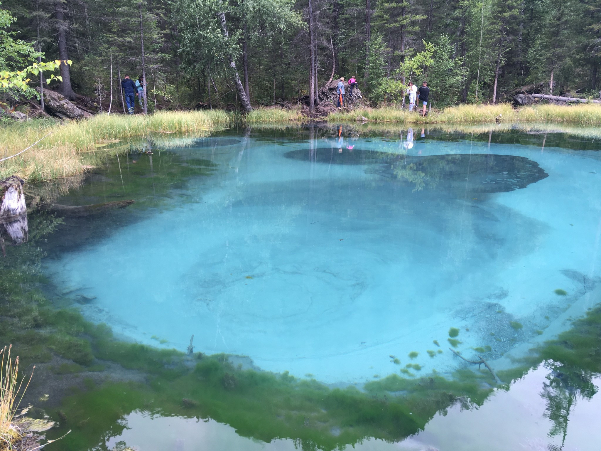 Золотое кольцо Алтая 2021 (iPhone7). Фотограф Эдуард Алмадаков