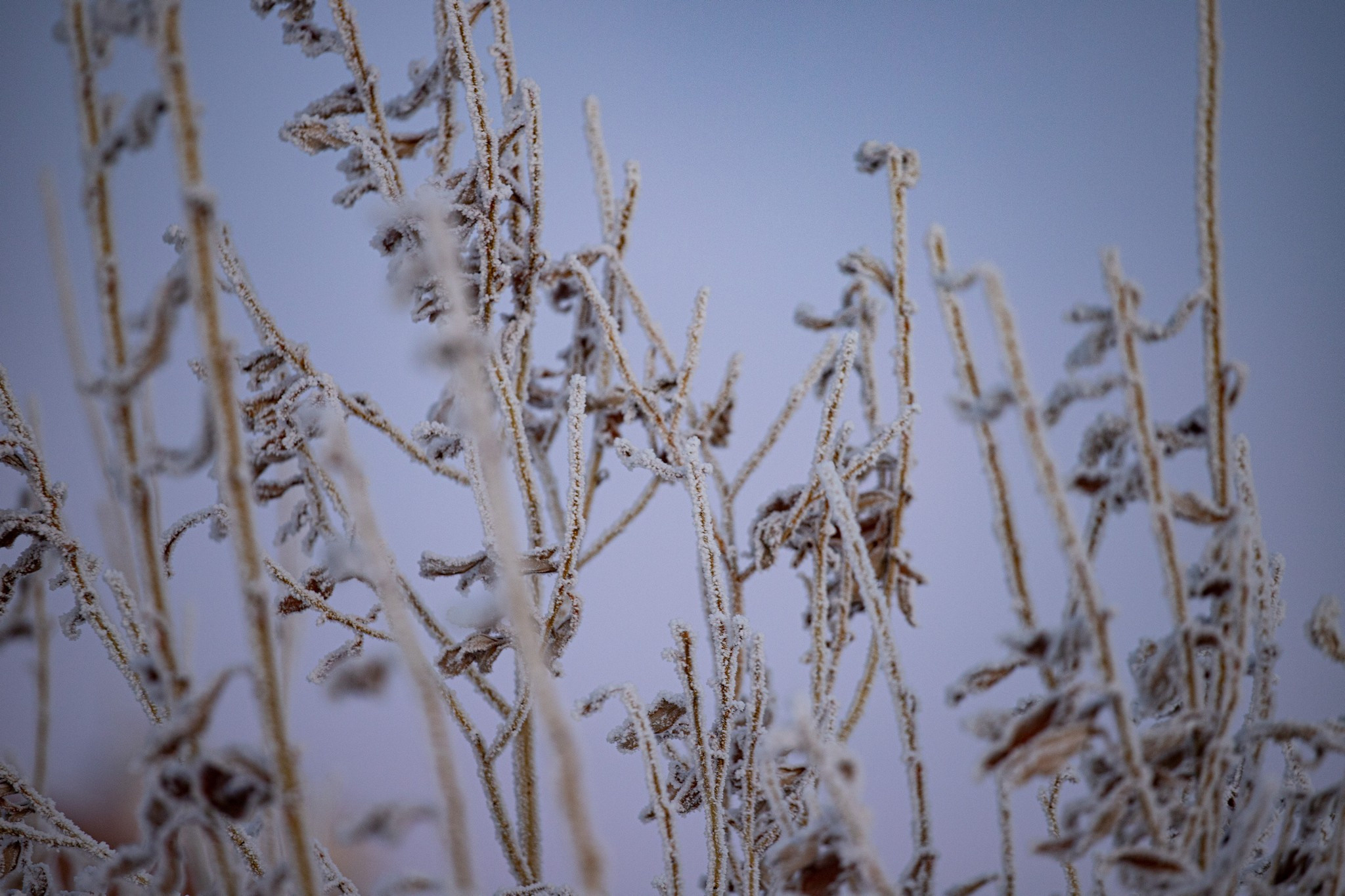 Дудинка -45 С. Фотограф Эдуард Алмадаков