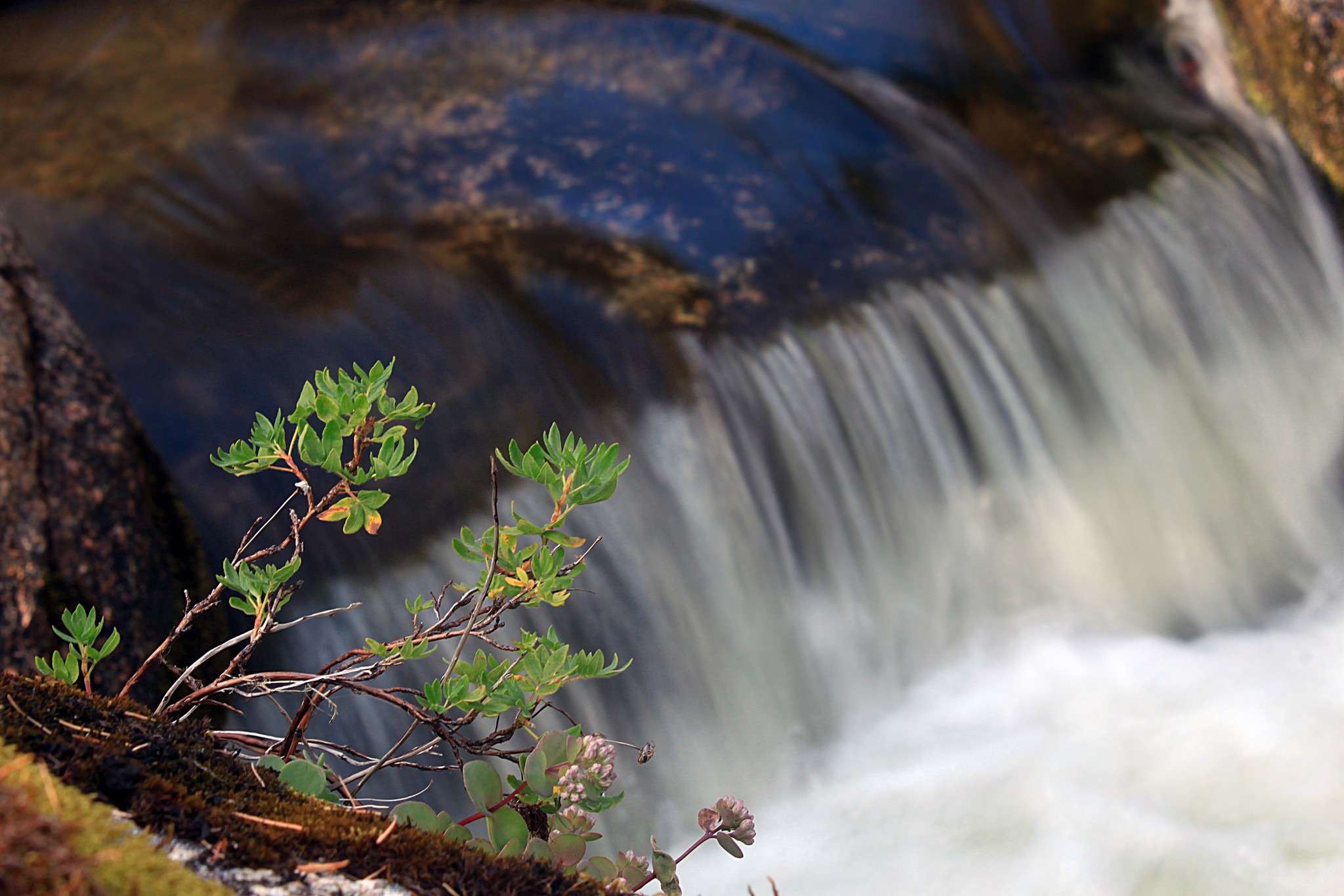 ручьи Саратанского водопада