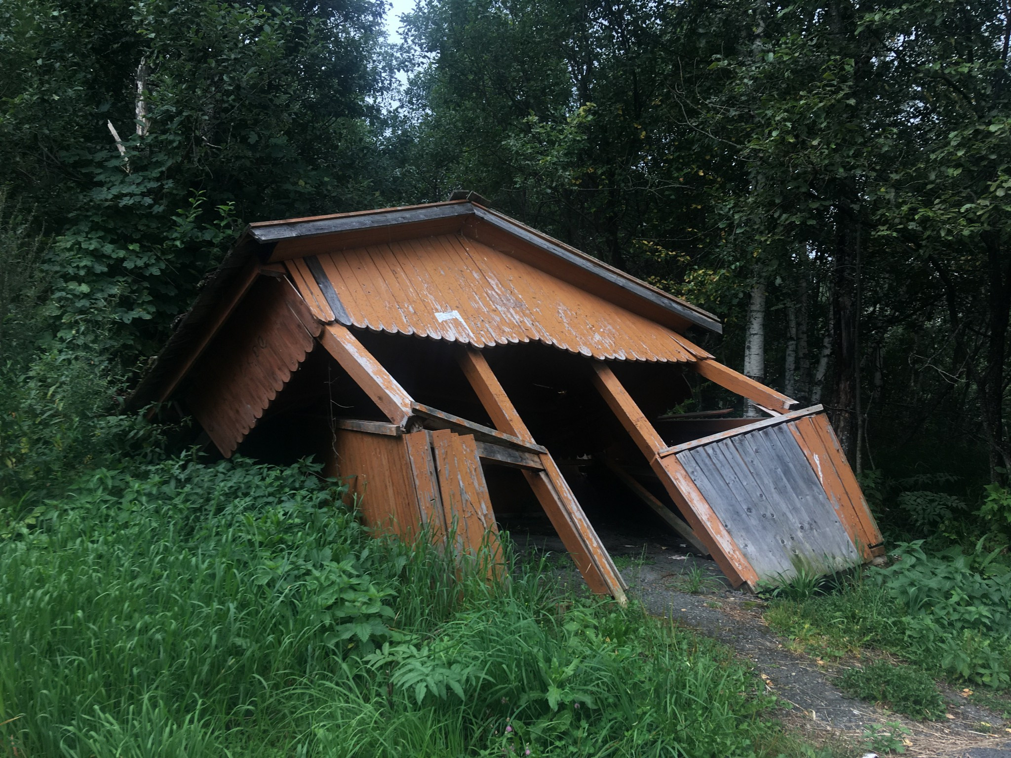 Золотое кольцо Алтая 2021 (iPhone7). Фотограф Эдуард Алмадаков