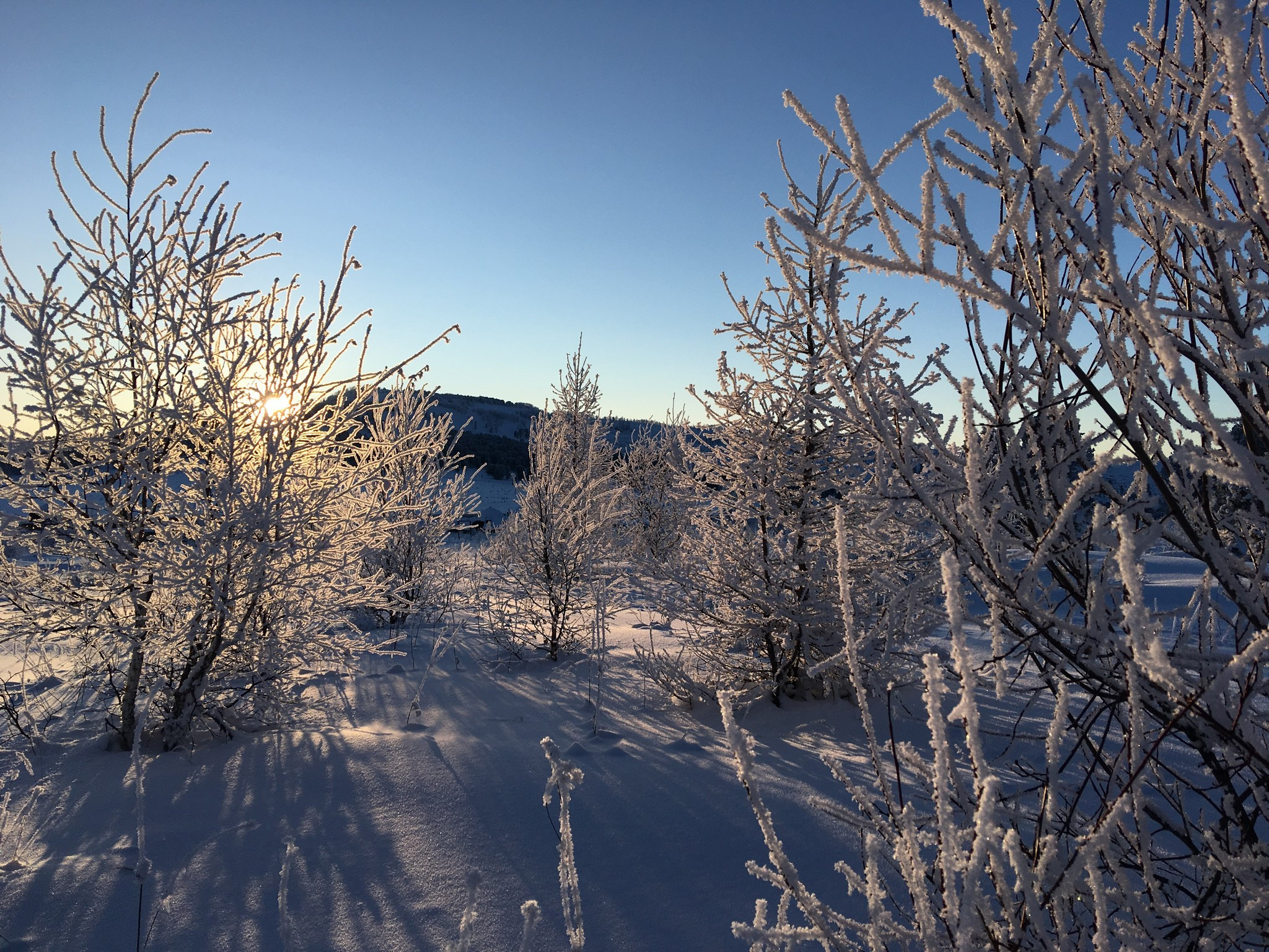 Семинский перевал. Фотограф Эдуард Алмадаков