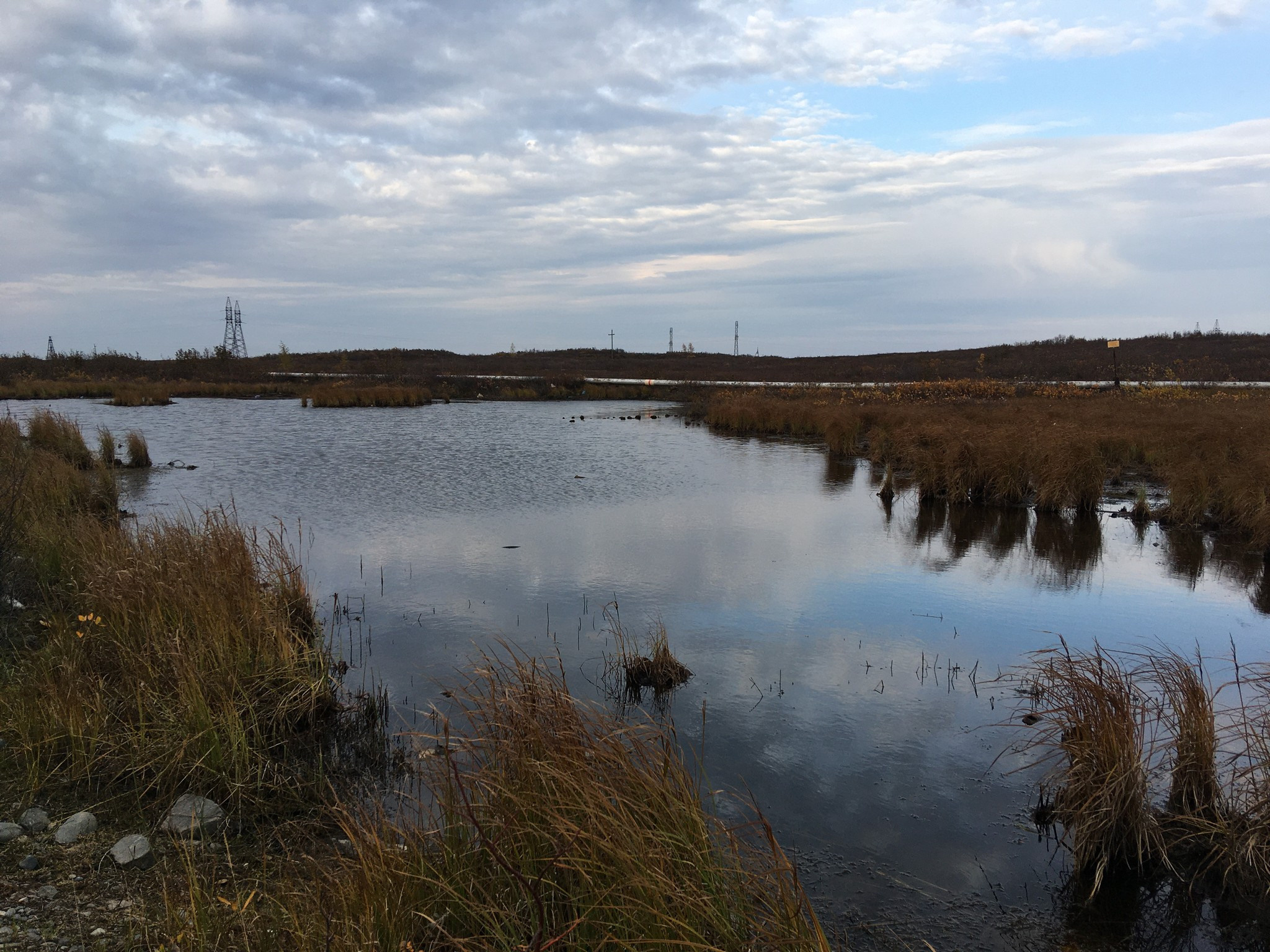 Дудинка. Фотограф Эдуард Алмадаков
