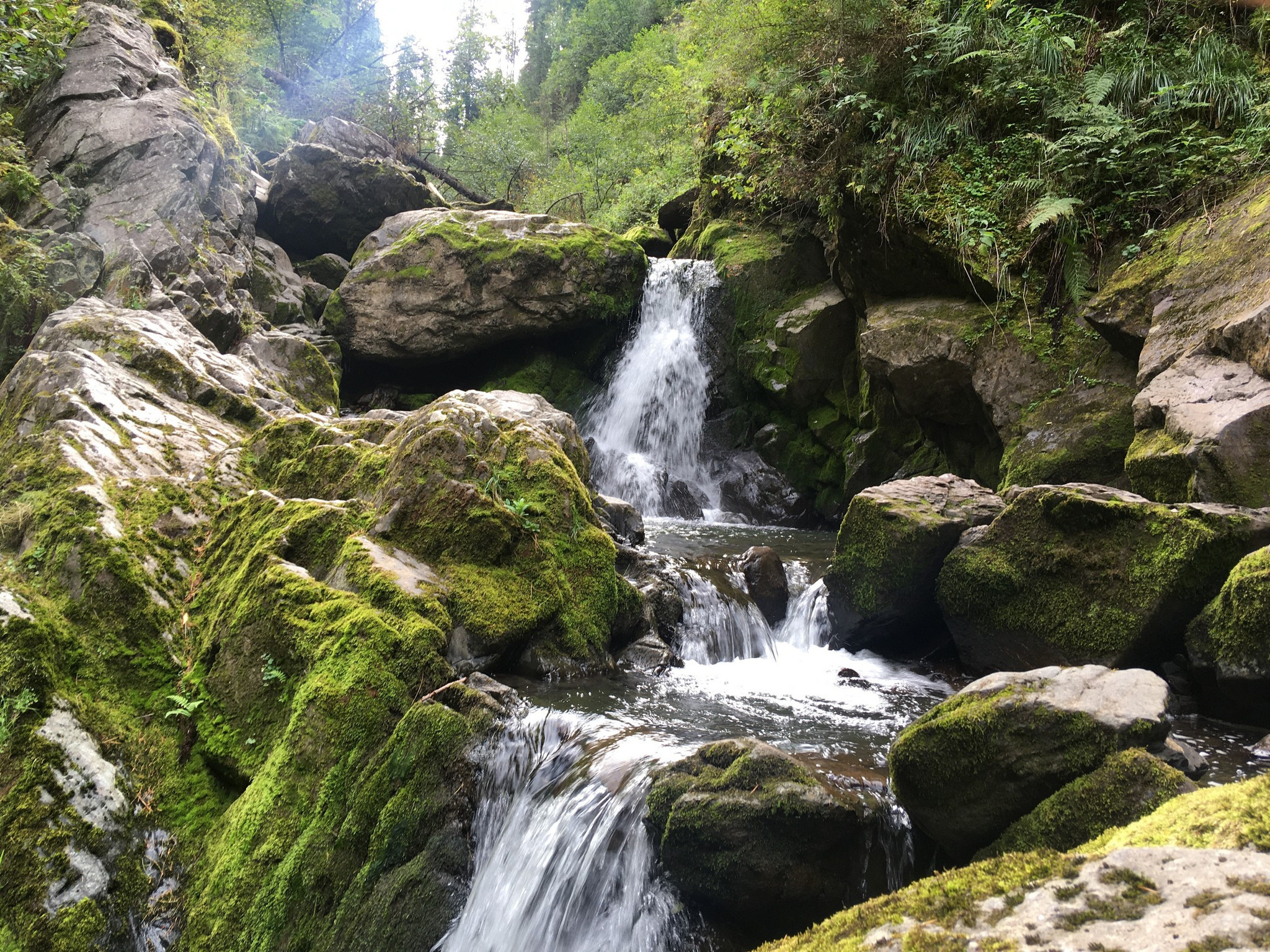 Золотое кольцо Алтая 2021 (iPhone7). Фотограф Эдуард Алмадаков