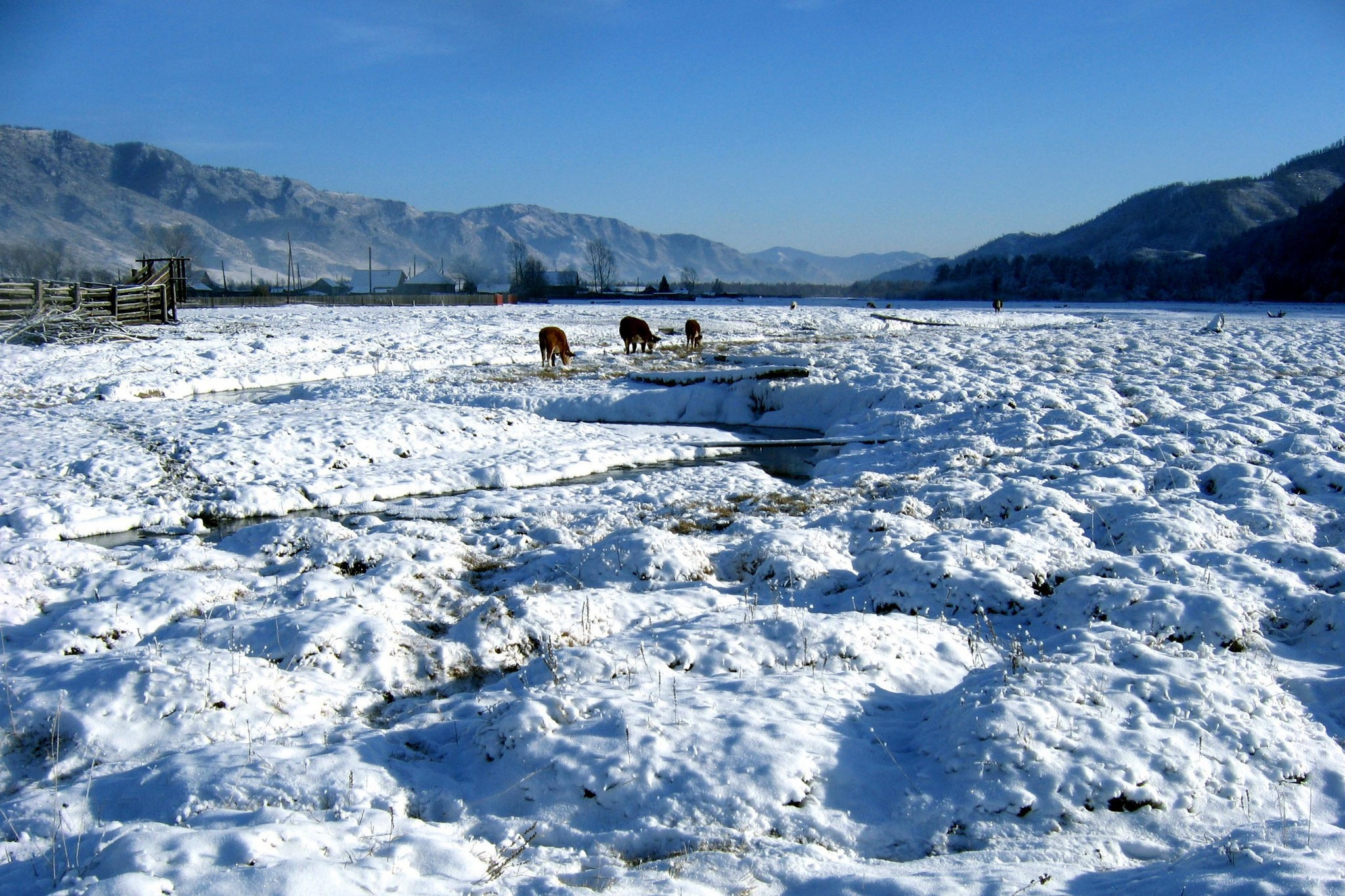 С. Курота. Фотограф Эдуард Алмадаков