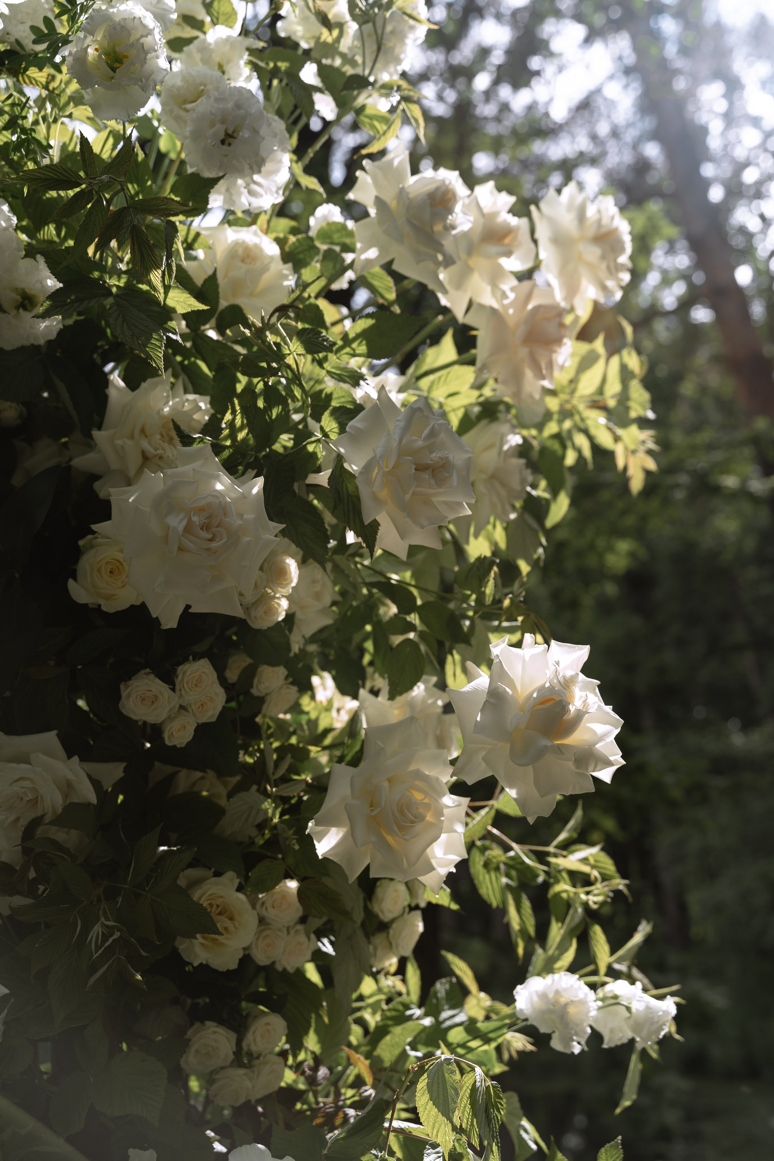 It all starts with love. Свадебный фотограф в Москве Мария Кривоногова