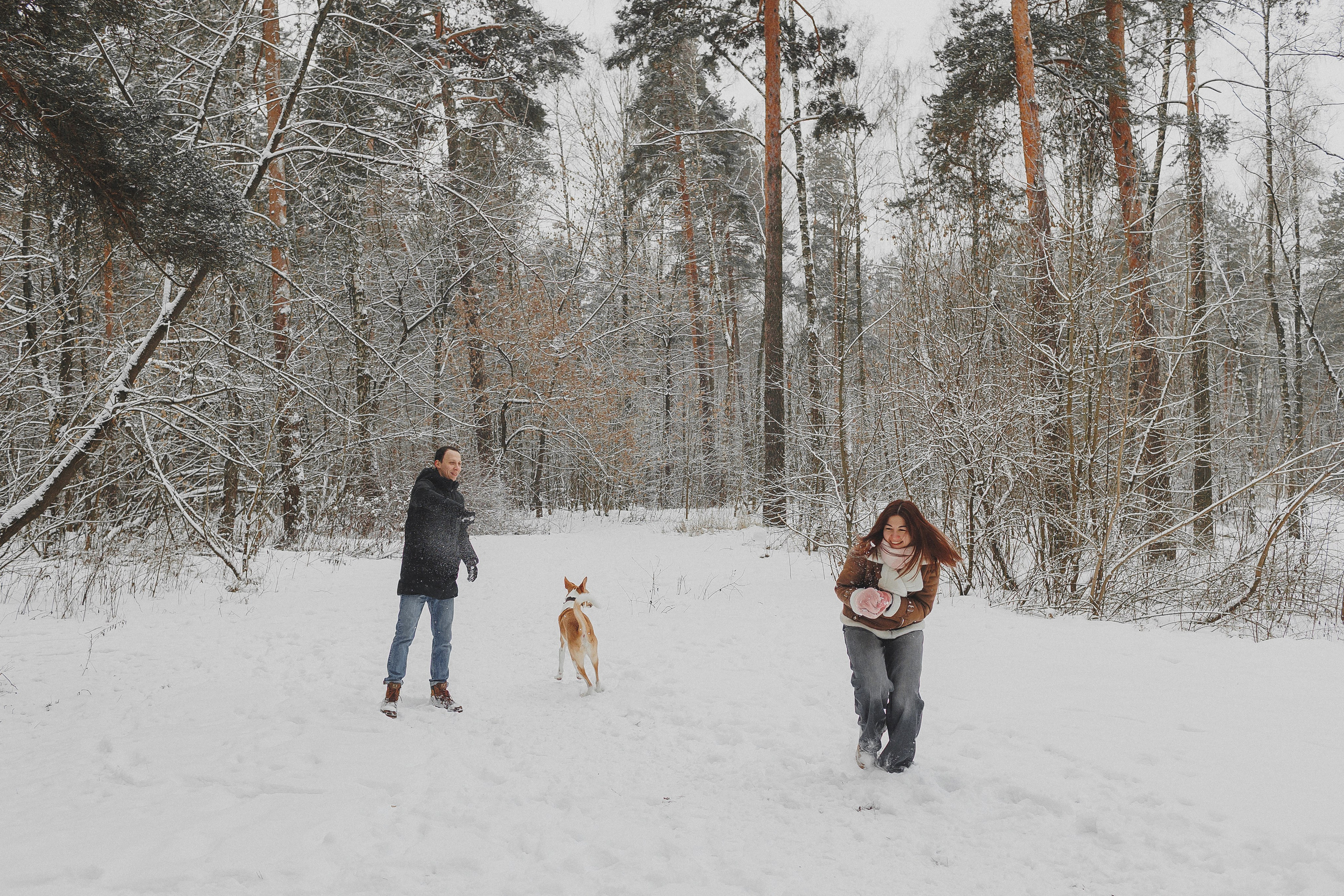 Зимняя фотосессия в лесу с собакой. Фотограф в Москве и Люберцах Анна Ушакова