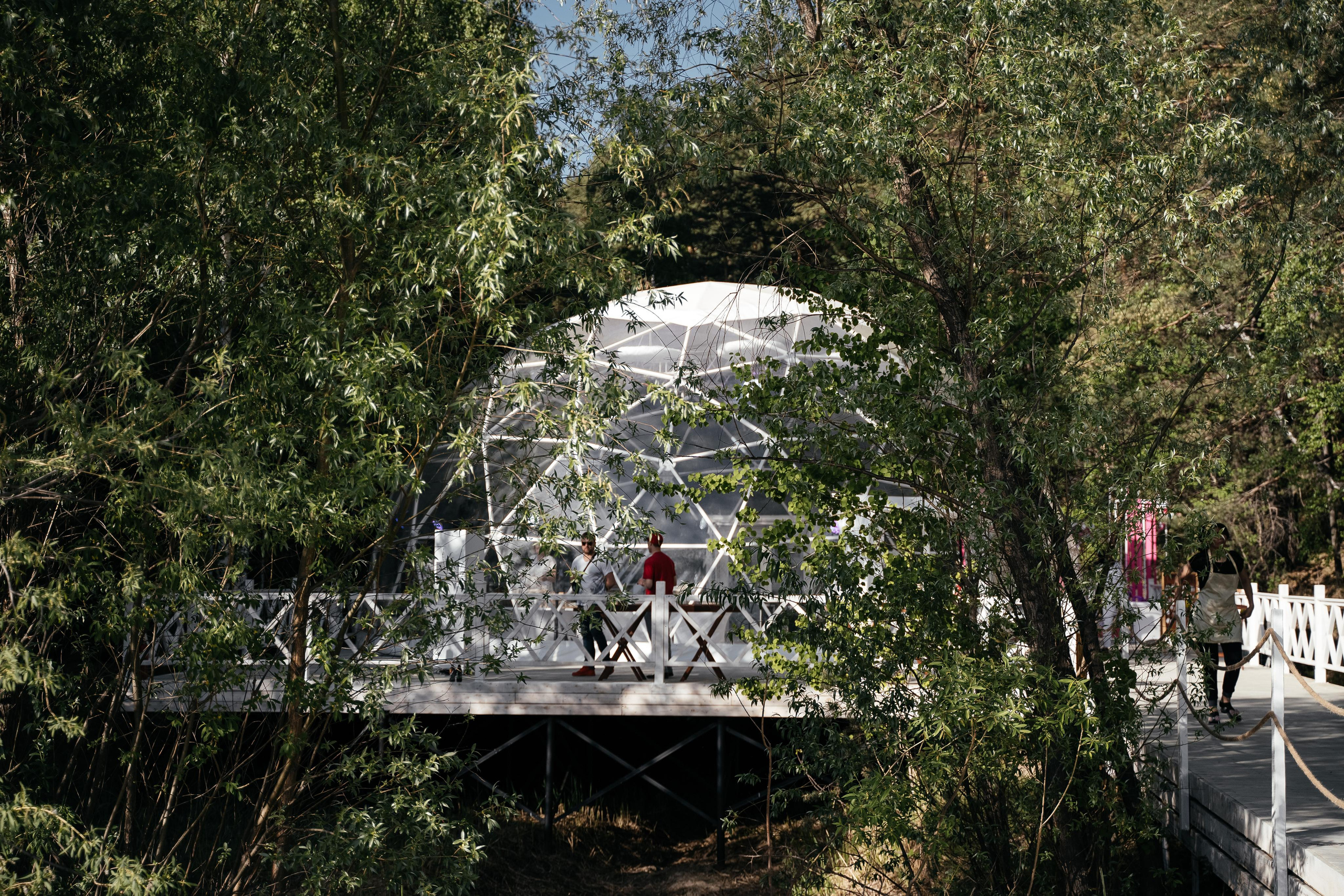 Лесная сфера. Свадебный и семейный фотограф в Новосибирске Наталья Зорина