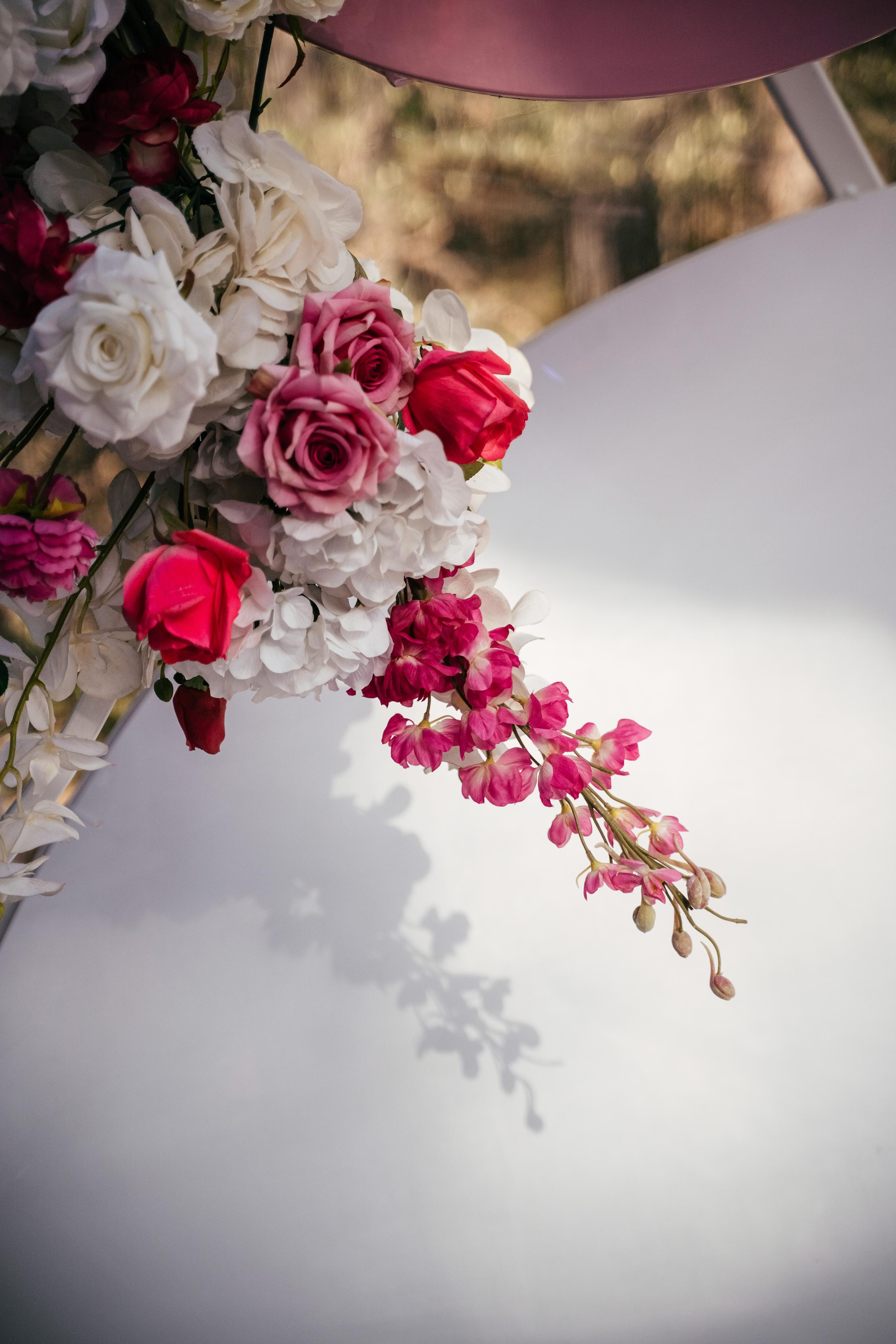 Лесная сфера. Свадебный и семейный фотограф в Новосибирске Наталья Зорина