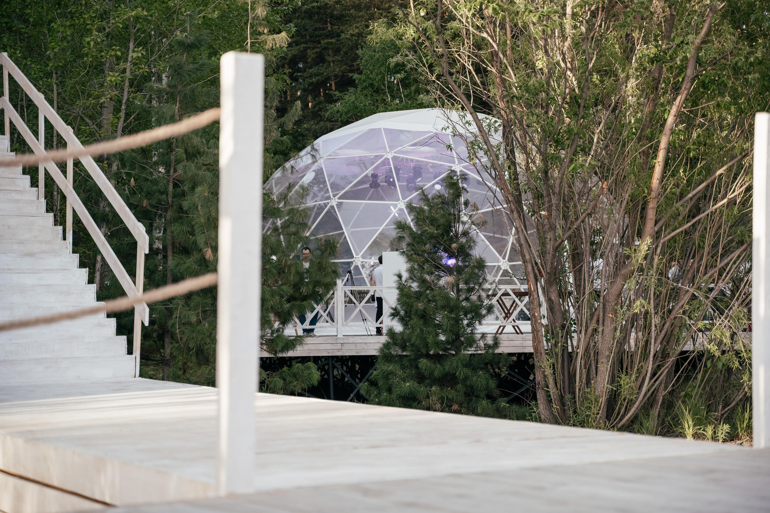 Лесная сфера. Свадебный и семейный фотограф в Новосибирске Наталья Зорина