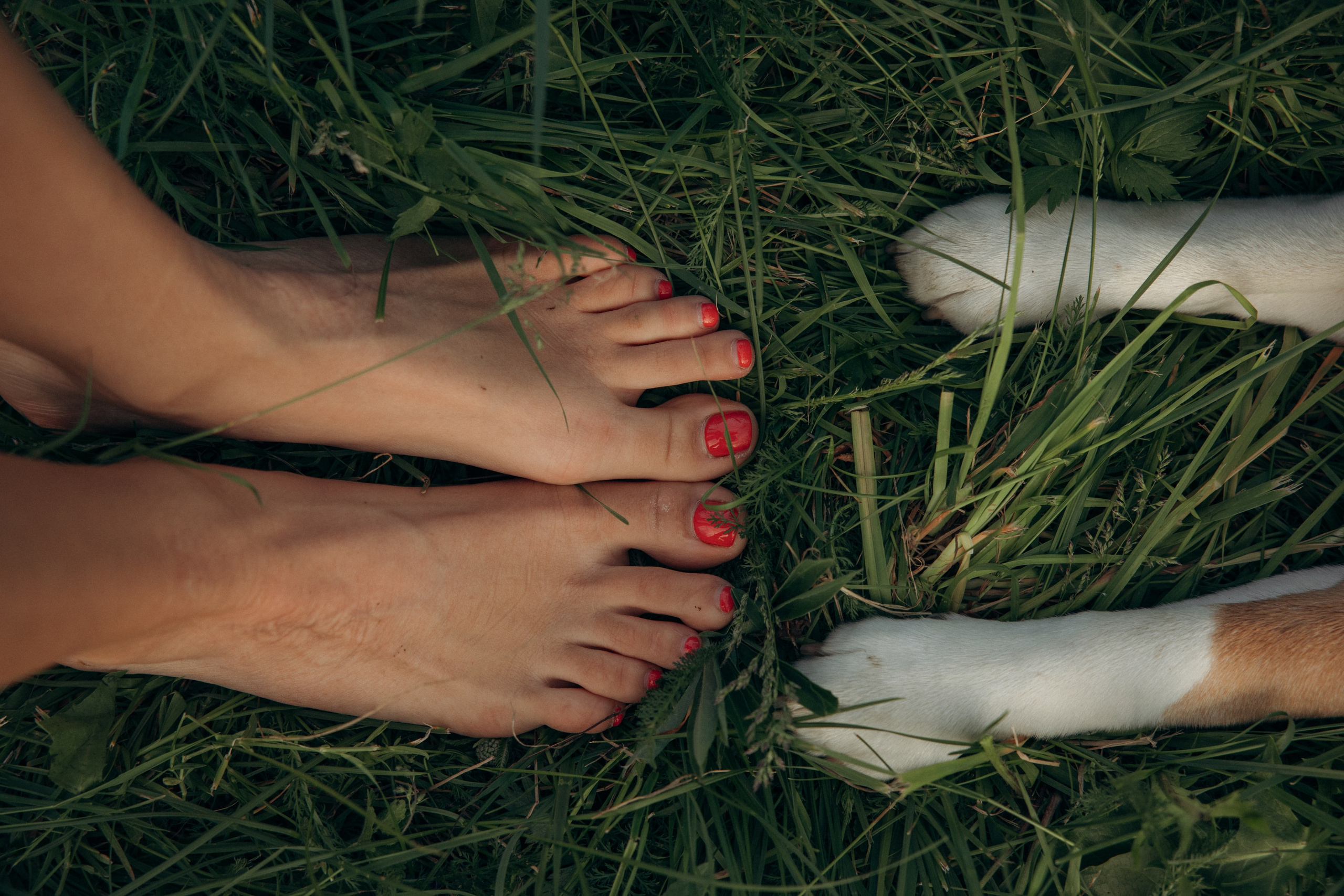 Кристина и Нора. На закате дня. Фотограф анималист в Казани Алина Сулейманова. Фотограф животных