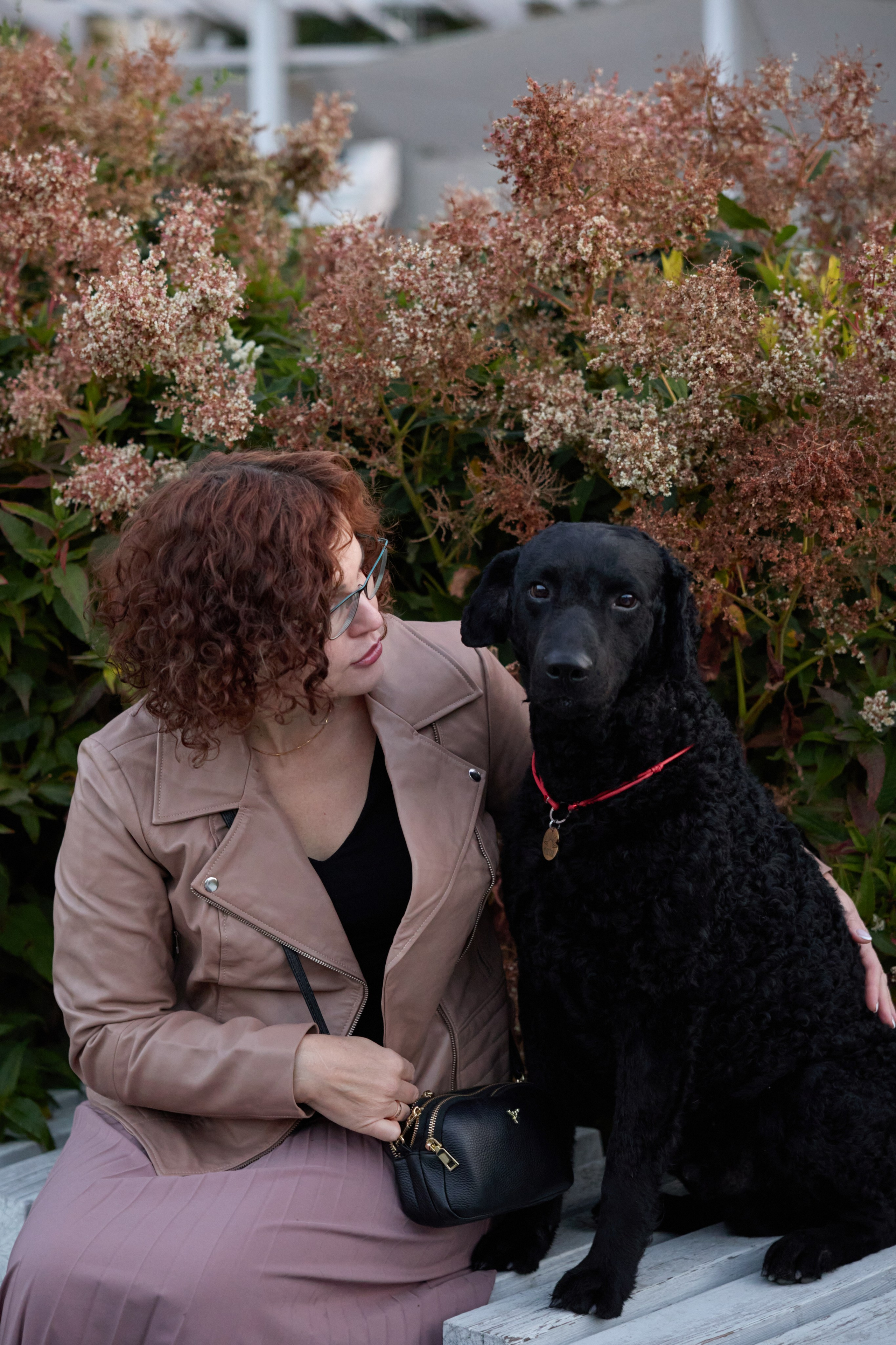 Альбина. Марфа и Мистик. Прогулка в парке. Фотограф анималист в Казани Алина Сулейманова. Фотограф животных