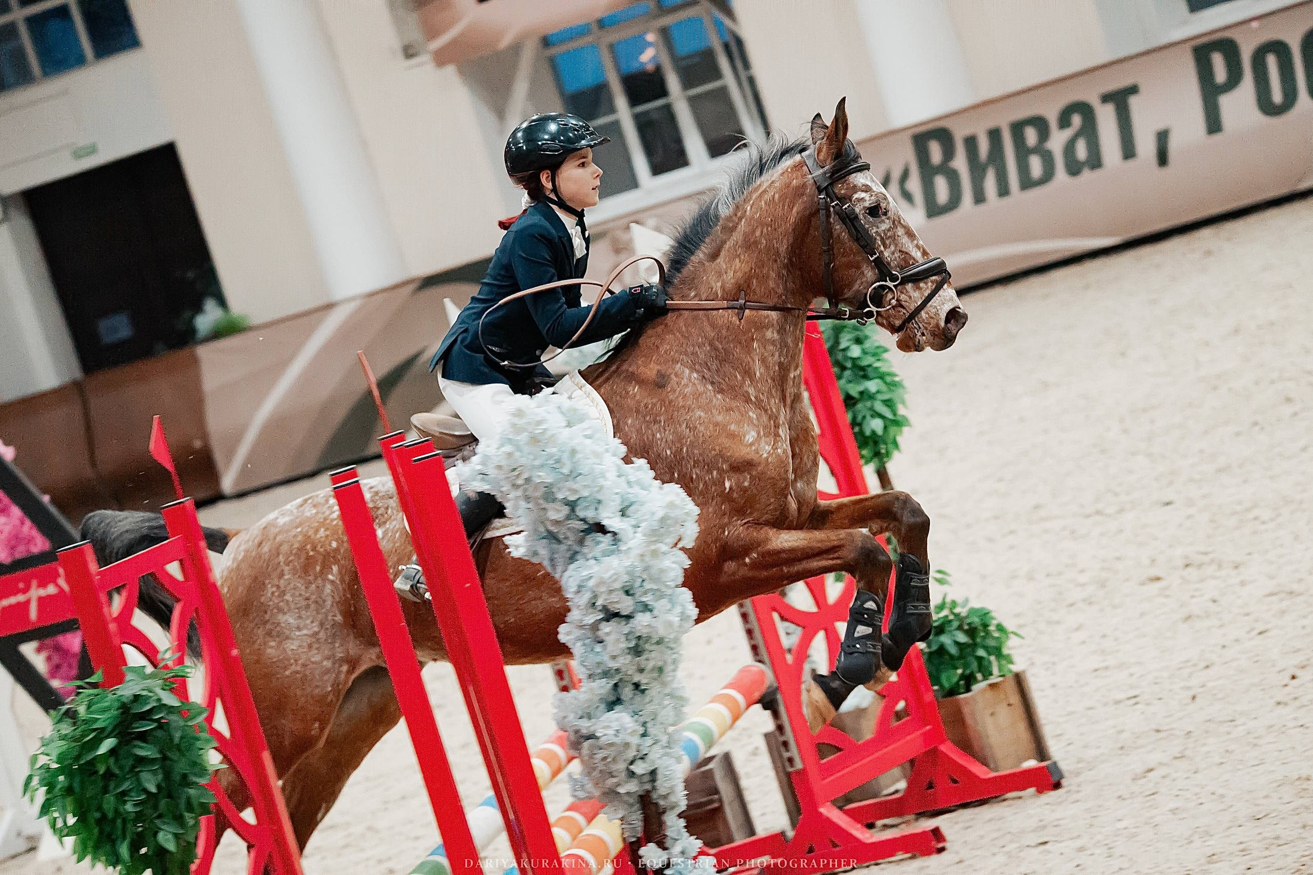 ЧЕМПИОНАТ МОСКОВСКОЙ ОБЛАСТИ ПО КОНКУРУ КСК «ВИВАТ, РОССИЯ!». Куракина Дарья • Конный фотограф