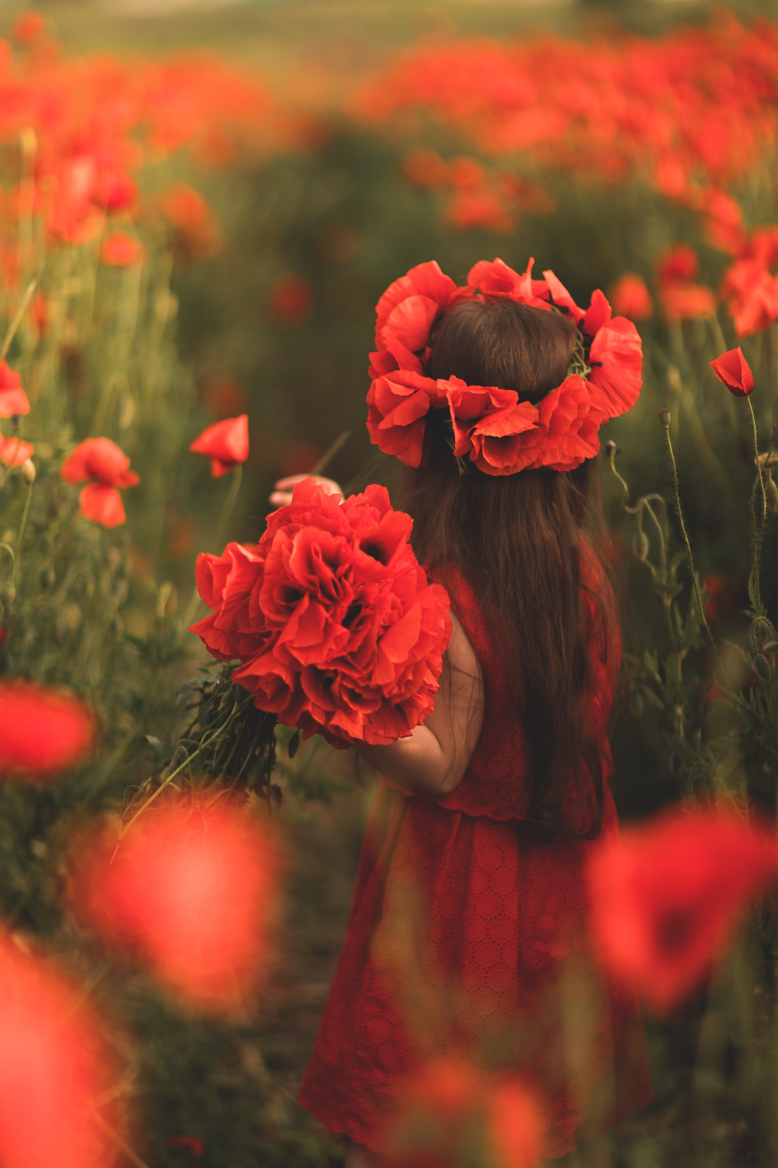 Маки. Семейный и детский фотограф Краснодар Валерия Власенко