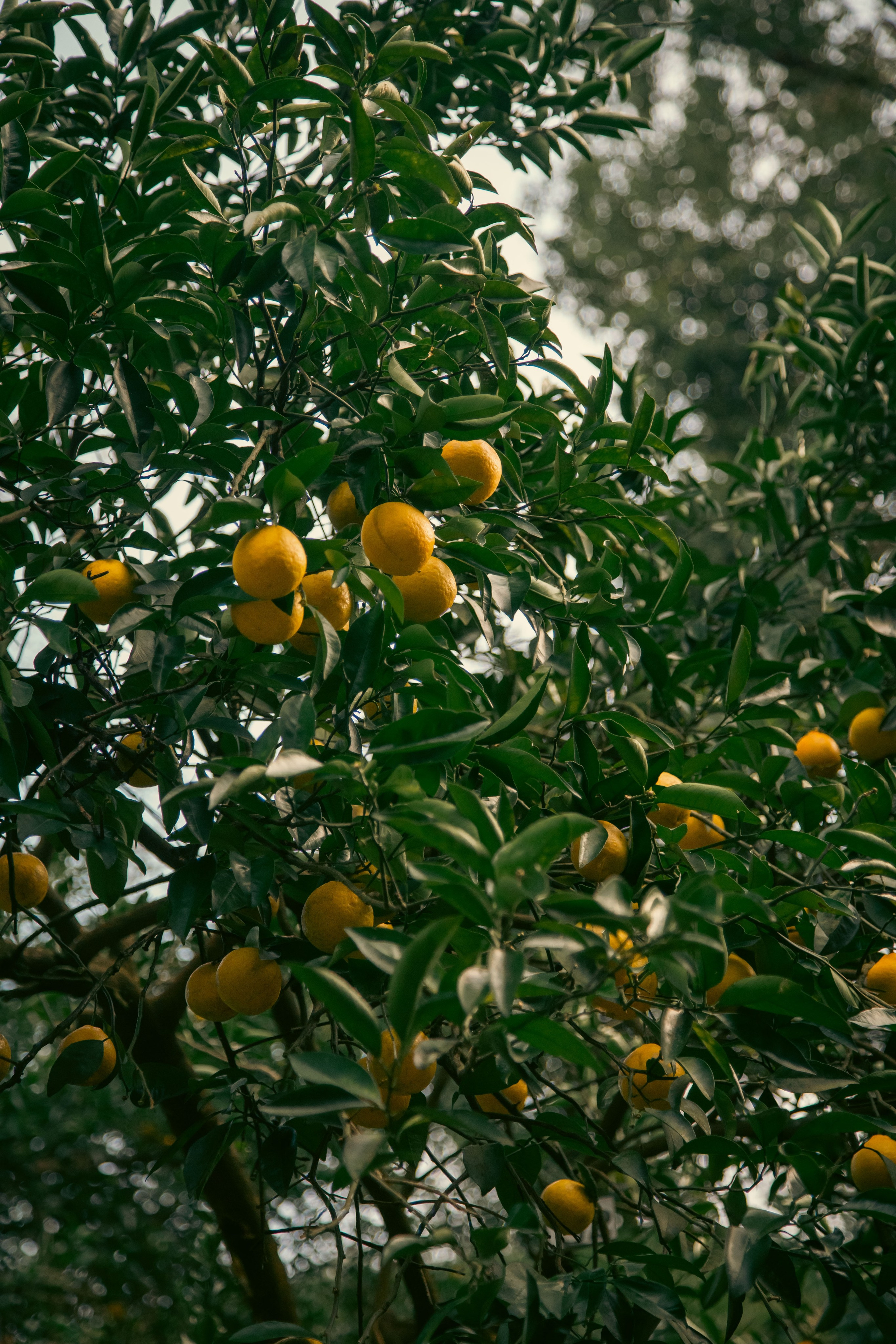 Batumi. Dmitriy [KCCC] is a pretty cool photographer