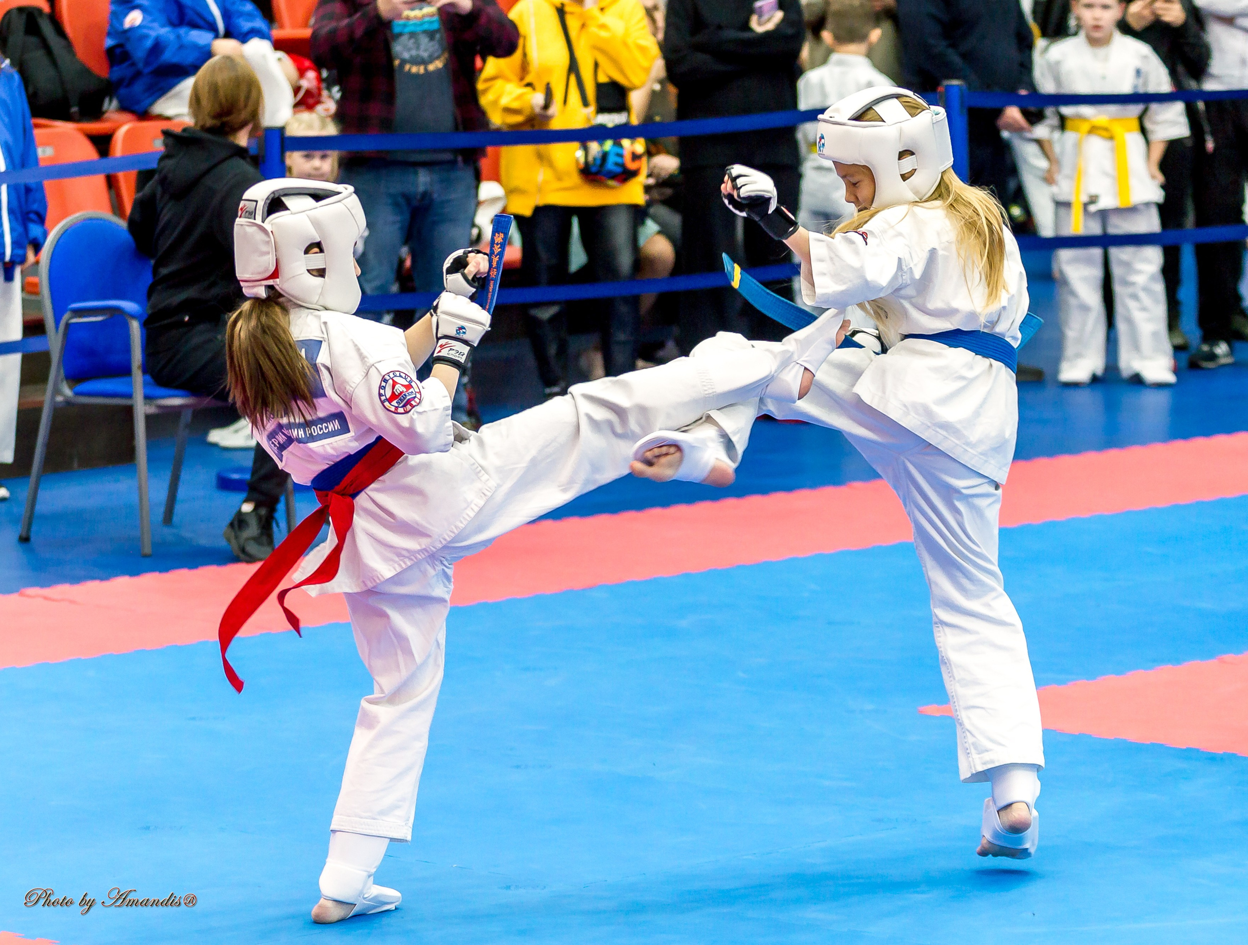 Чемпионат по Киокушинкай Центрального Федерального округа. Репортажная съемка в Москве и области. Анималистика