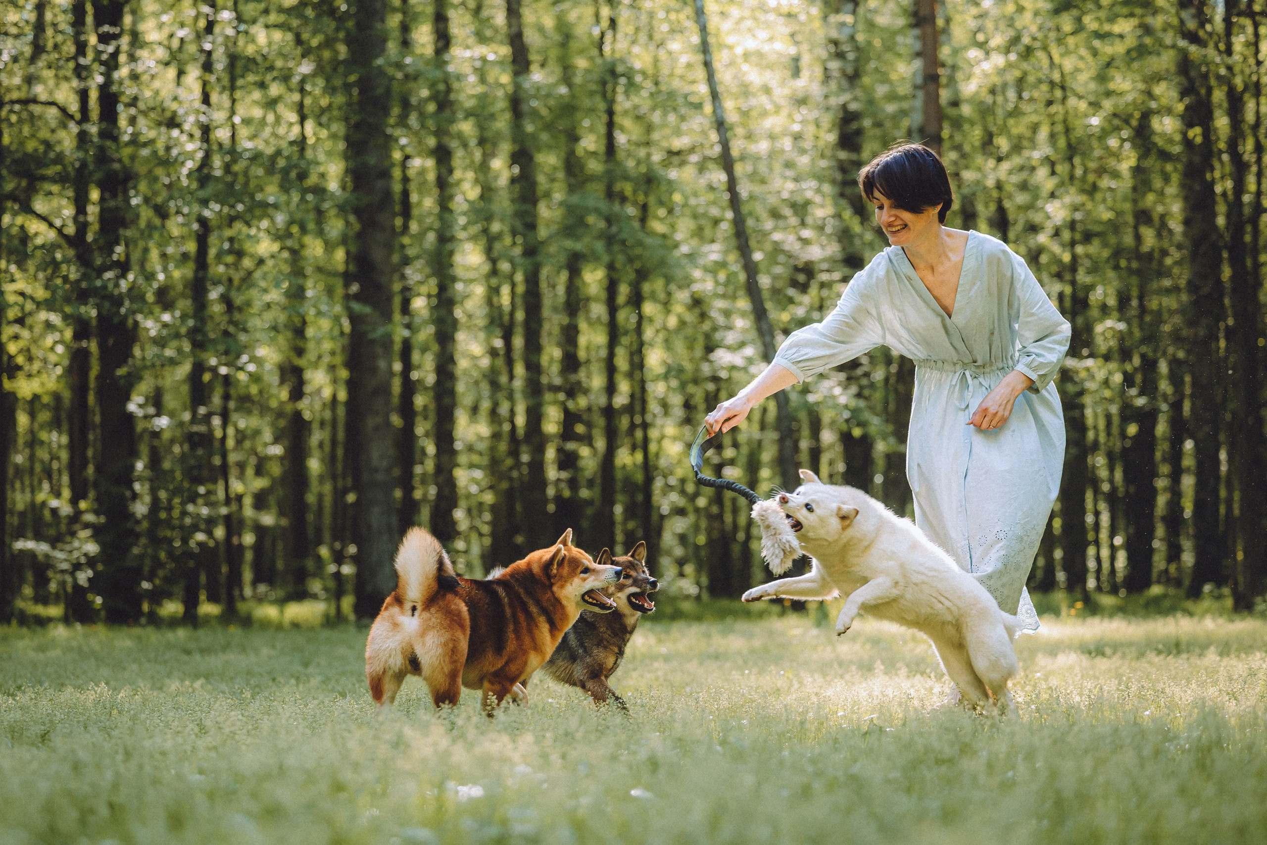 Шед, Цири, Чиби, Цера и их семья