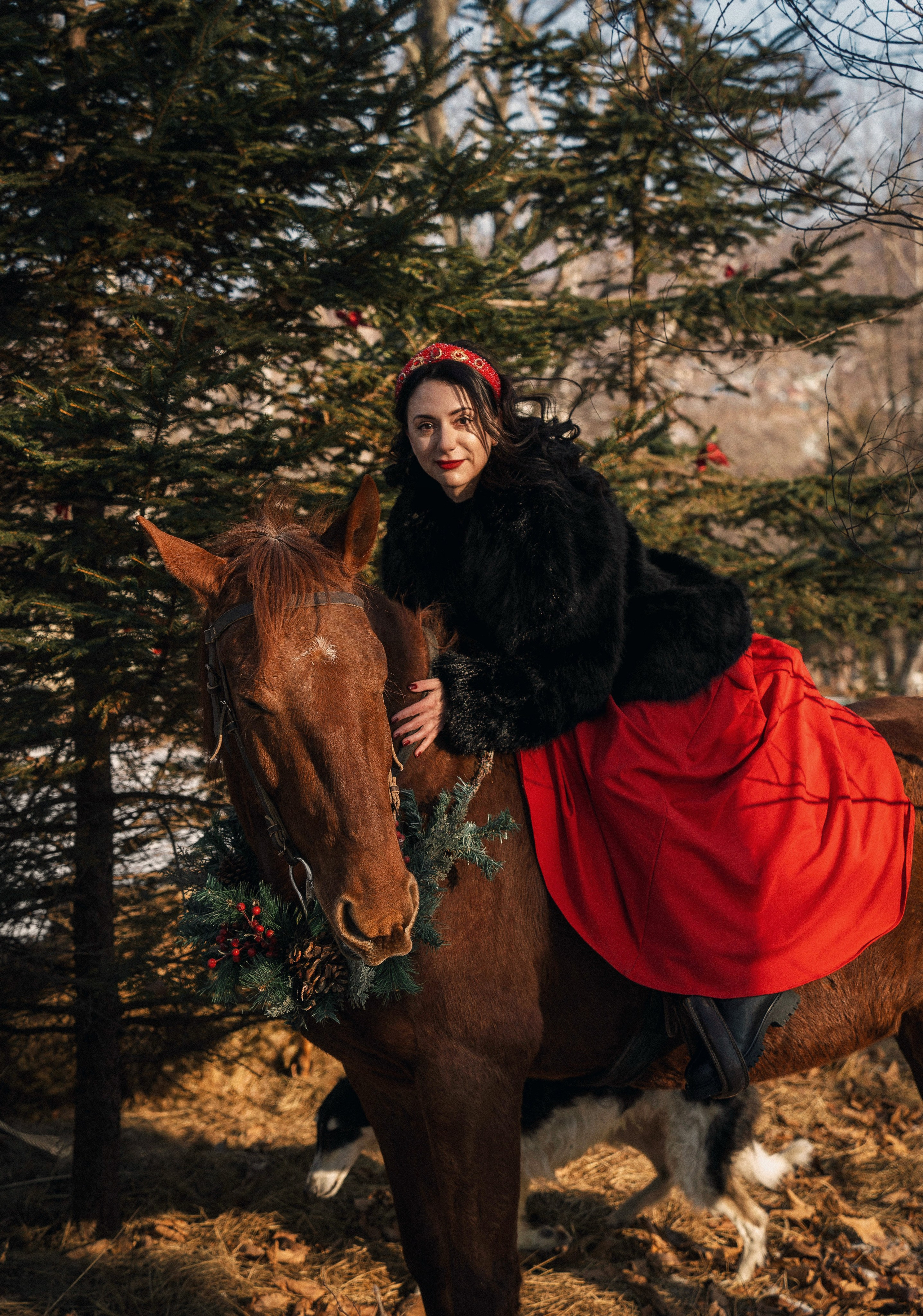 Фотодень «Символ 2026 года». Семейный фотограф анималист г. Находка