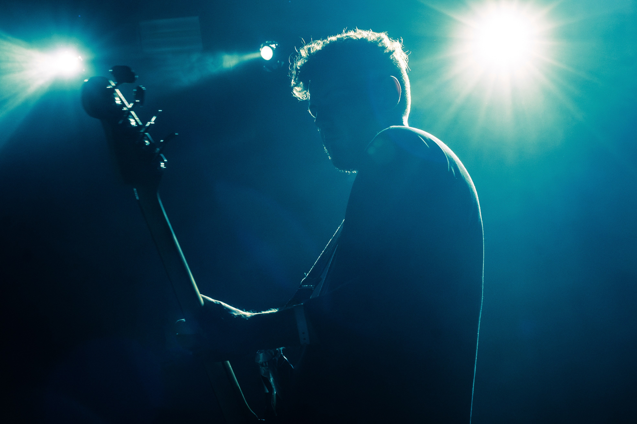 НДвТБ, Bird Bone 20.03.2026. Репортажный фотограф в Москве Legiodot