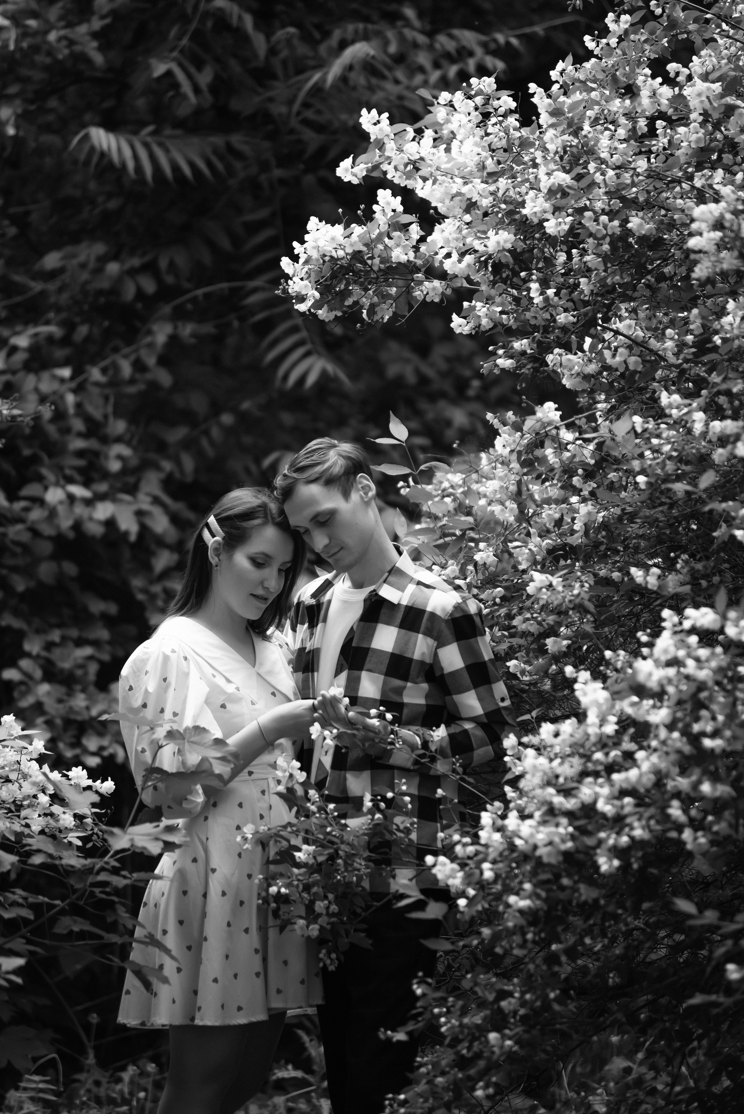 Дарья & Кирилл love story. Фотограф в Краснодарском крае Александр Шульга