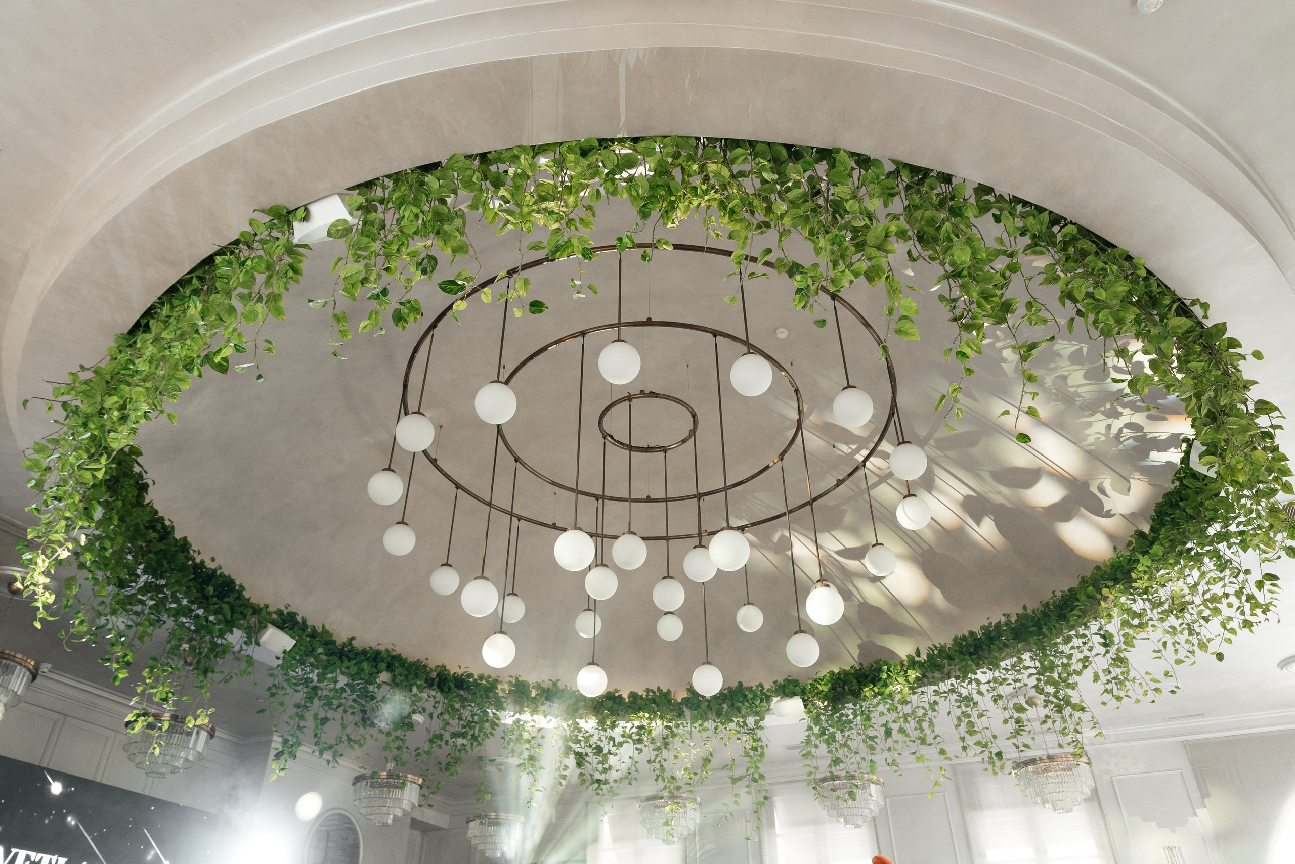 Юбилей 30 лет. Фотограф в Краснодарском крае Александр Шульга