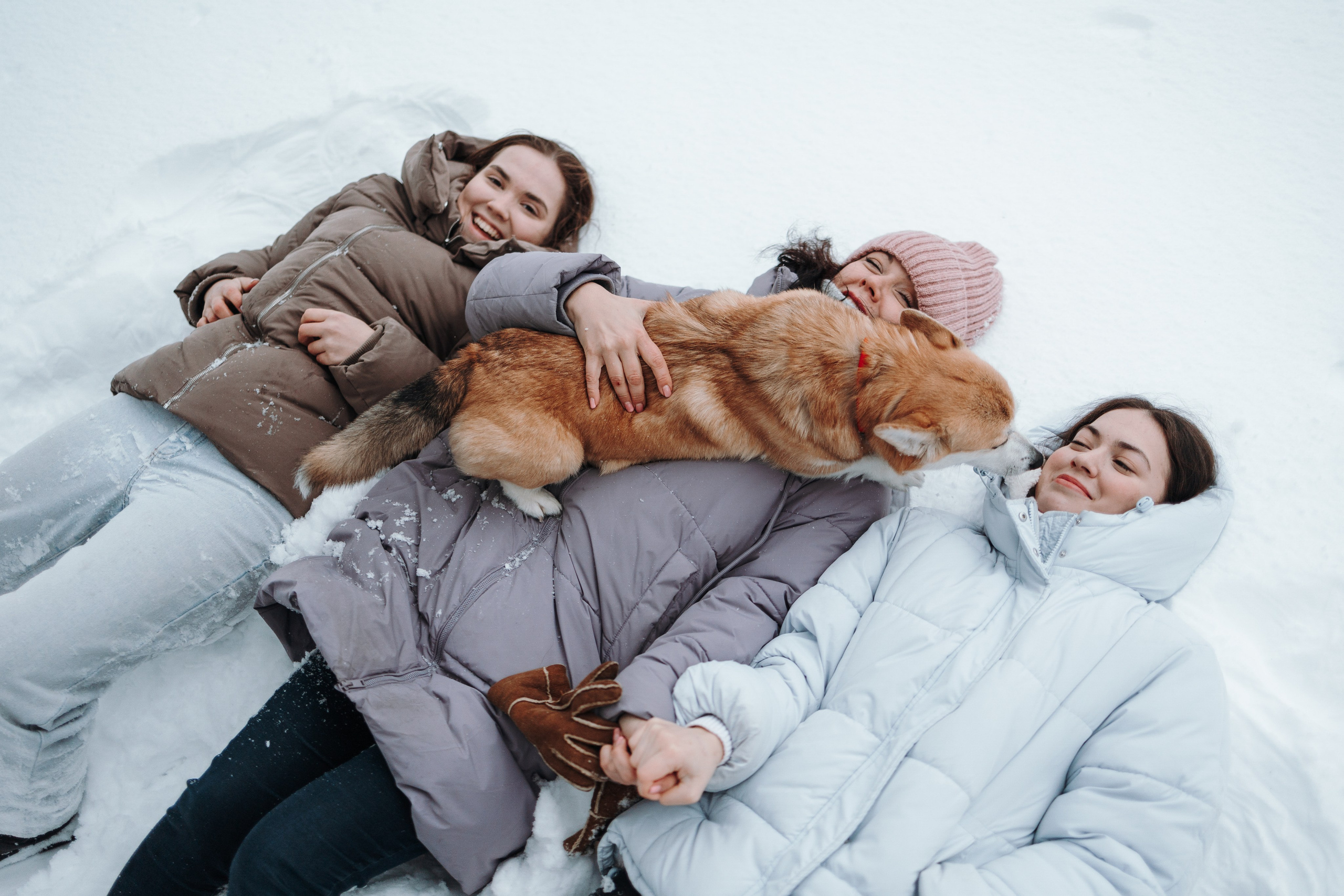 Оливка и ее семья. Фотограф — Анималист | Санкт-Петербург