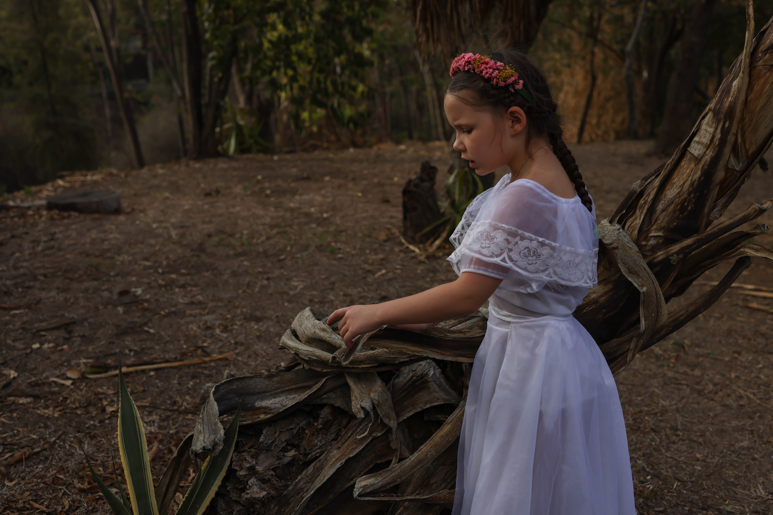 Мексика. Kateserbina