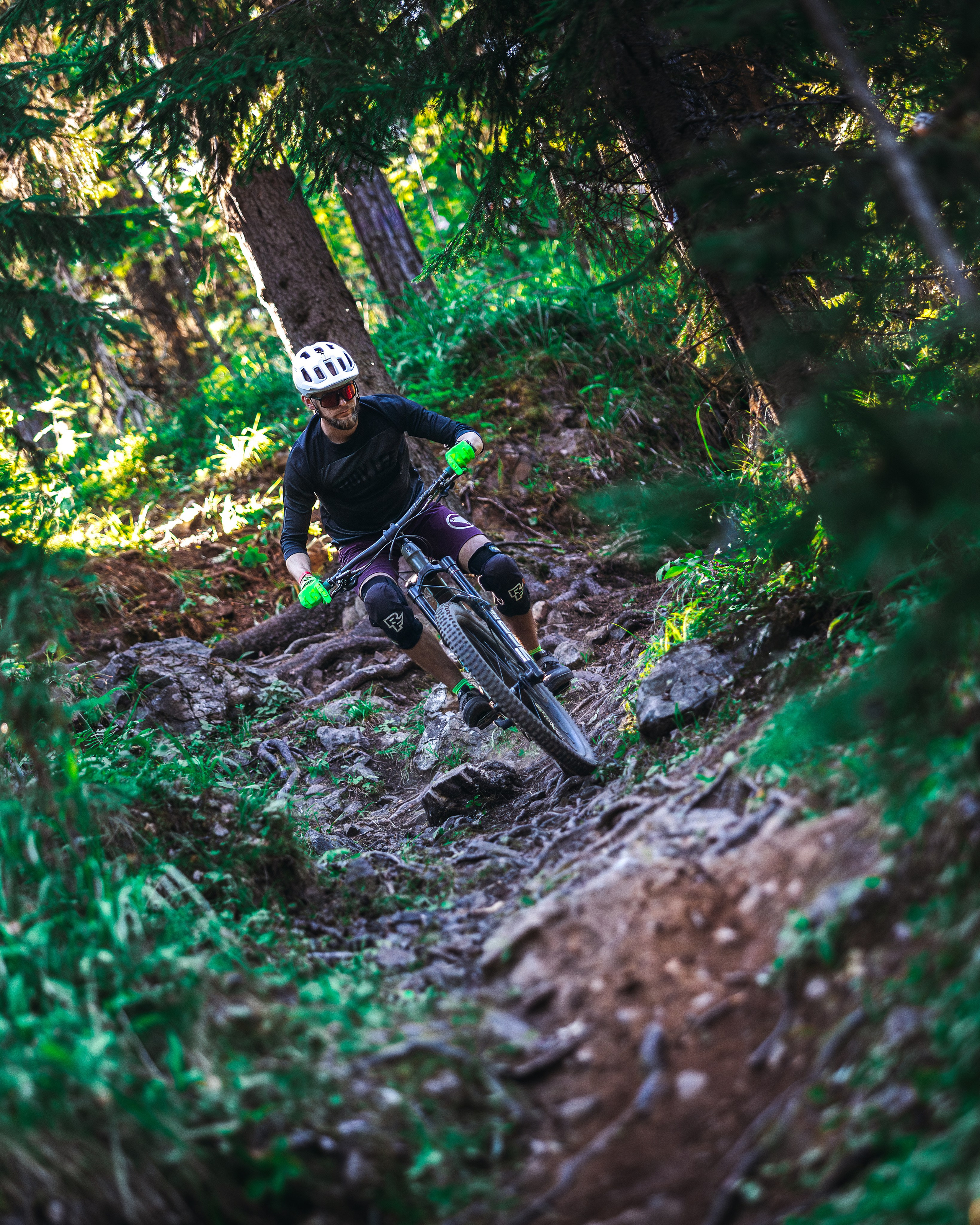 Гонка Ялгора. Фотограф анималист Никита Натальный