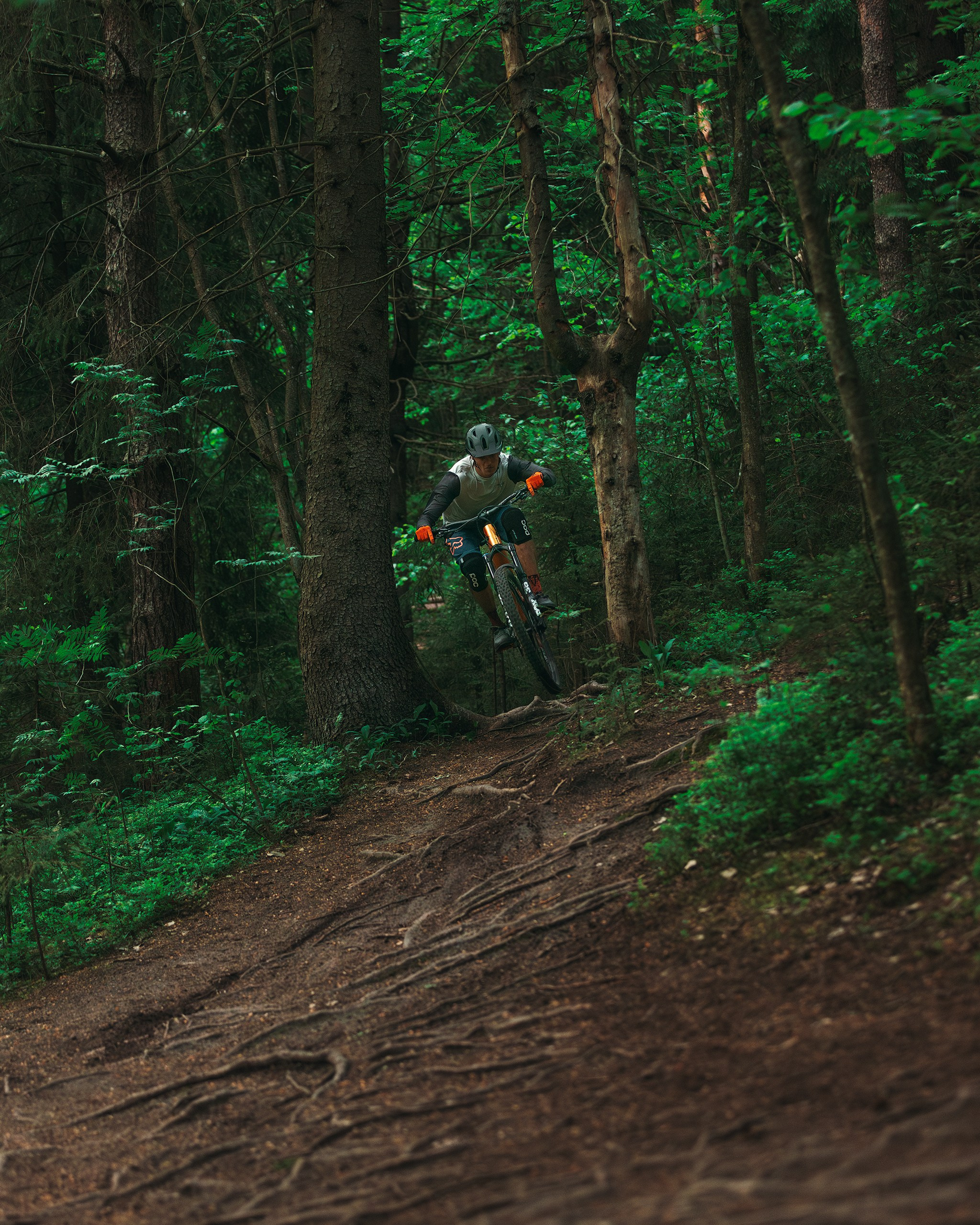 Покатушки в Огороде. Фотограф анималист Никита Натальный