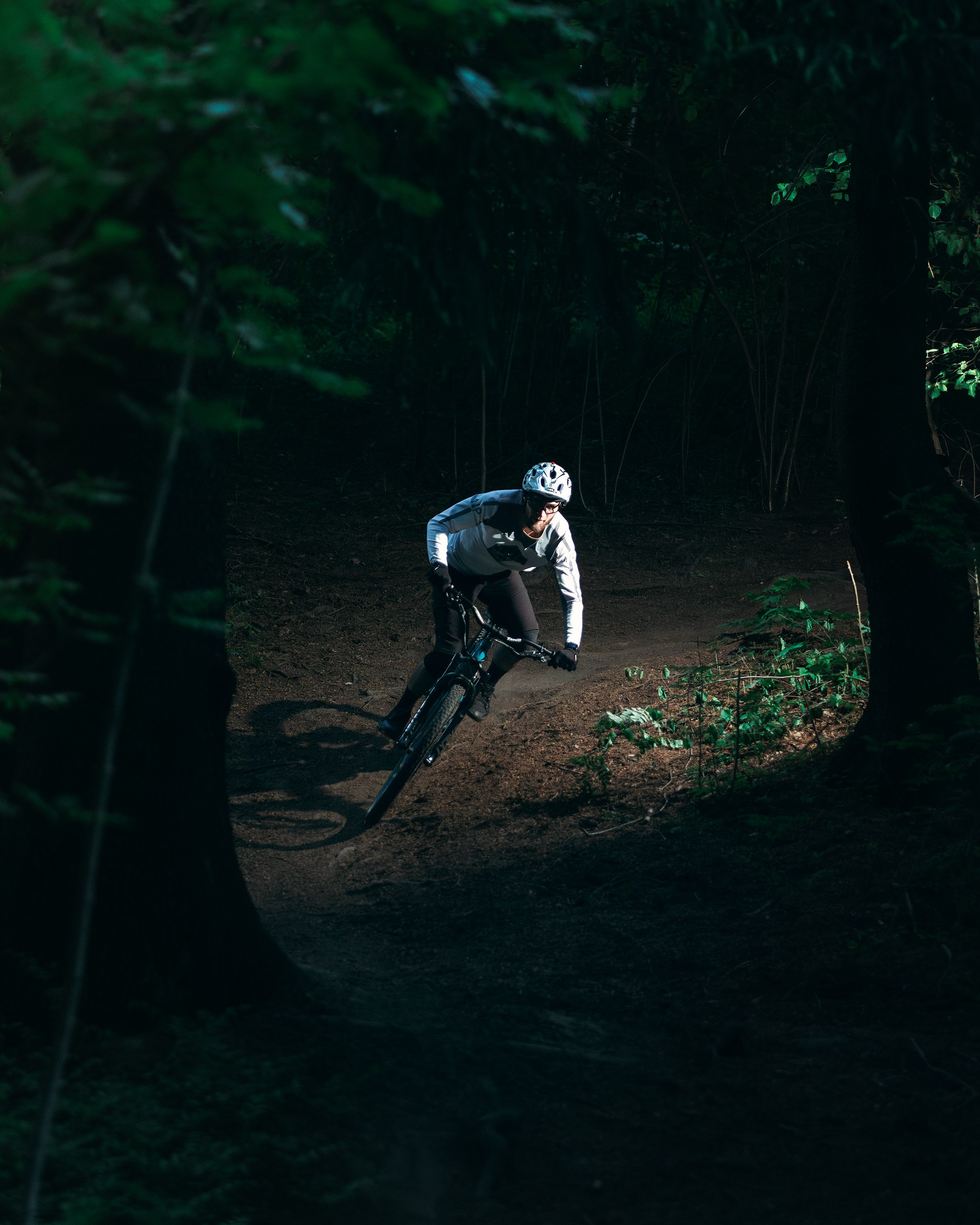 Саша и Ваня. Фотограф анималист Никита Натальный