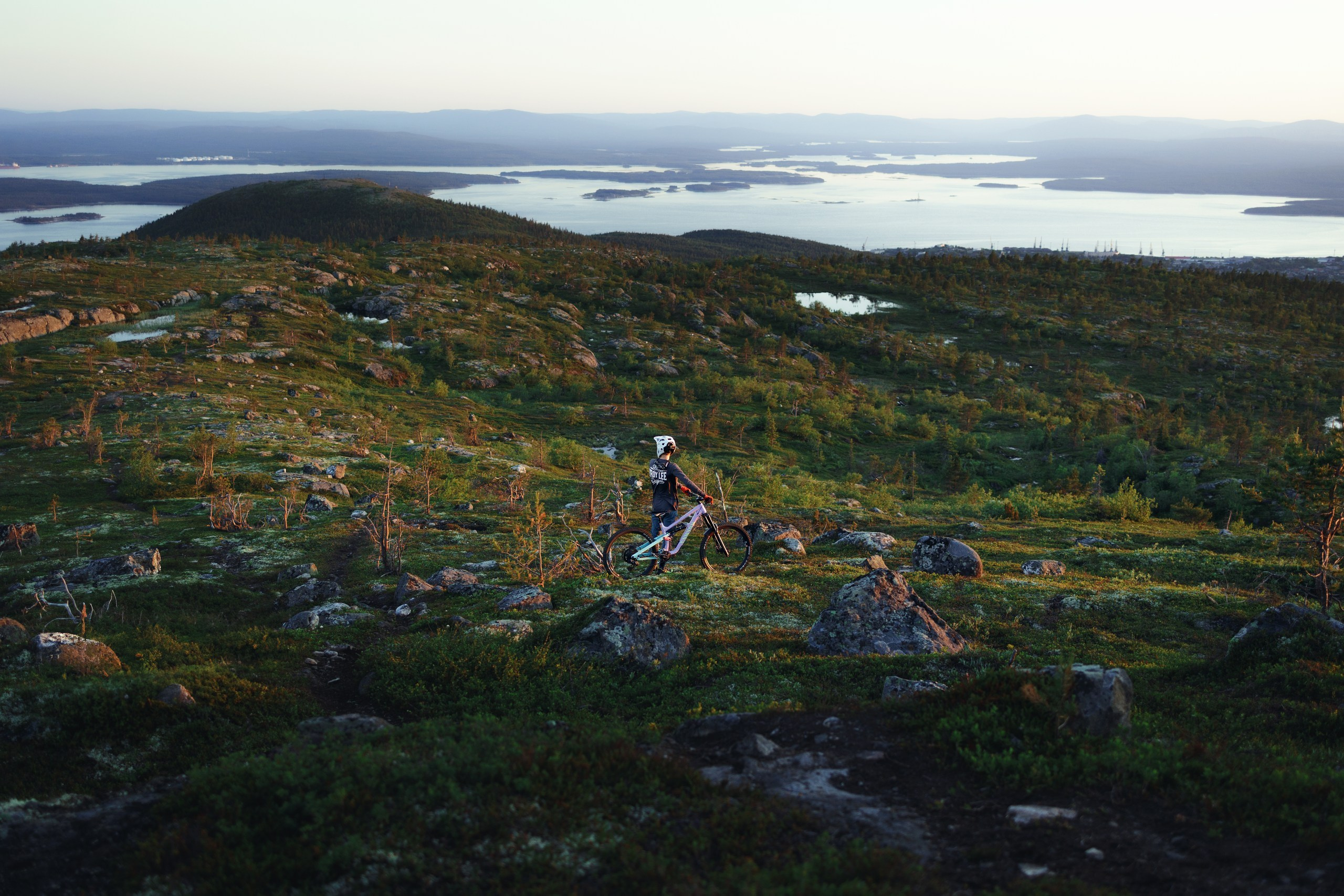 Кандалакшка. Фотограф анималист Никита Натальный